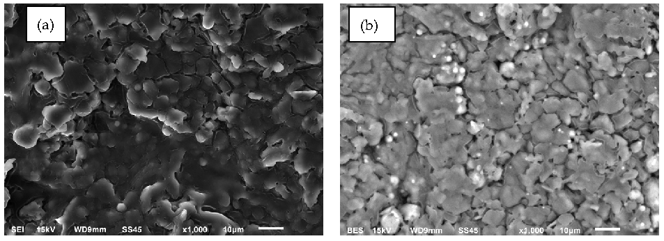 Materials 14 00637 g004