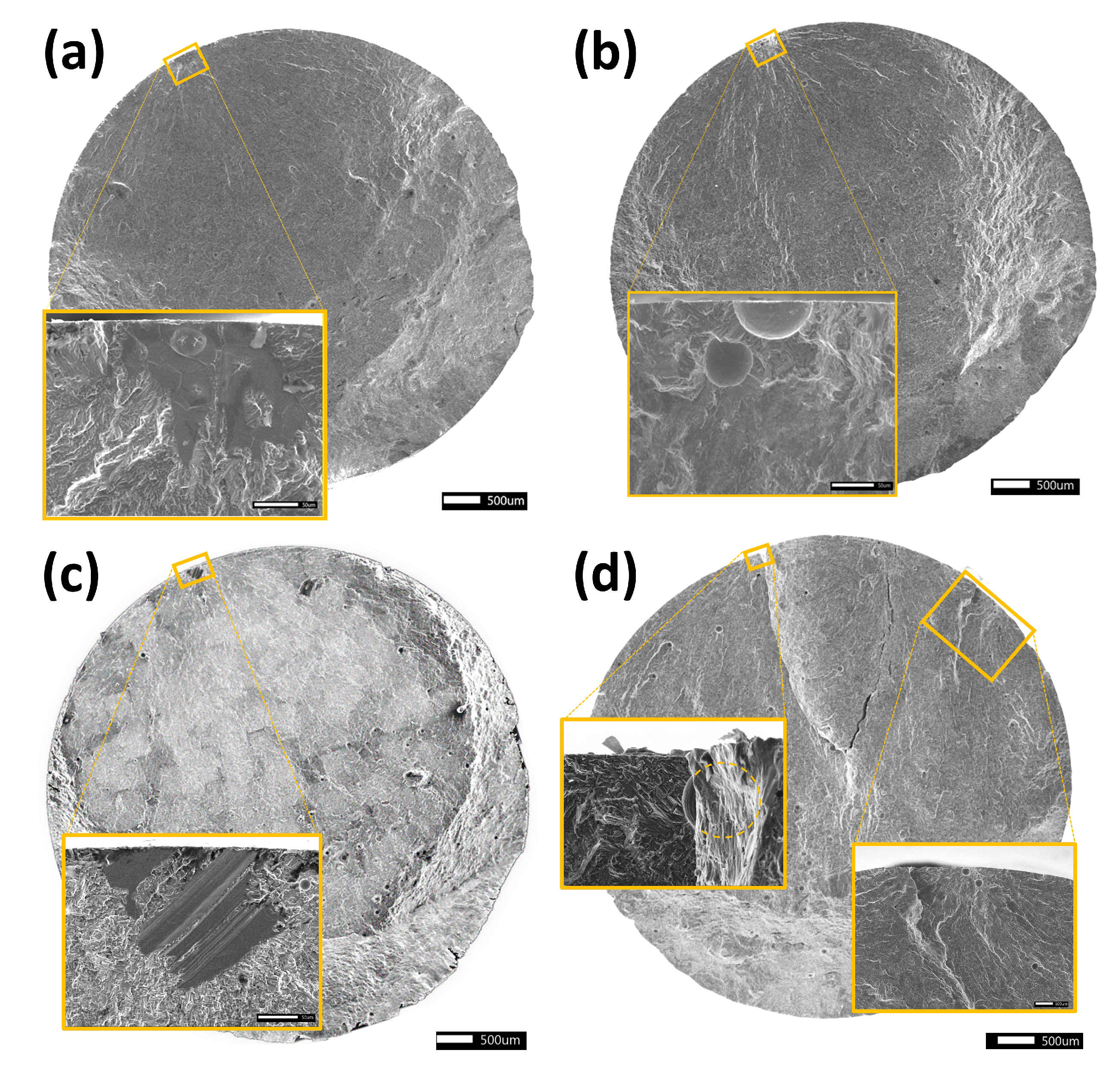 Materials 14 00640 g006