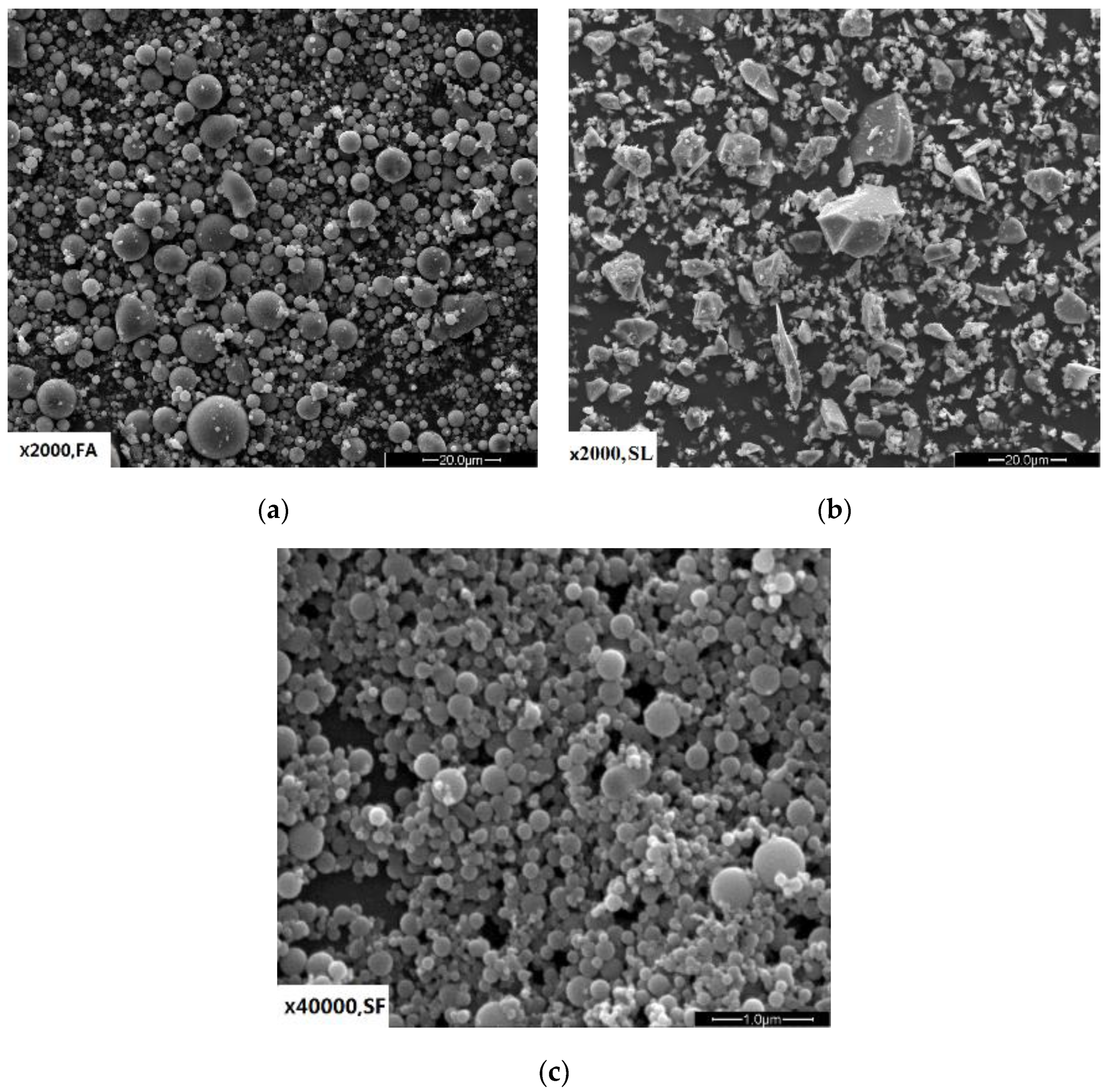 Materials 14 00642 g001