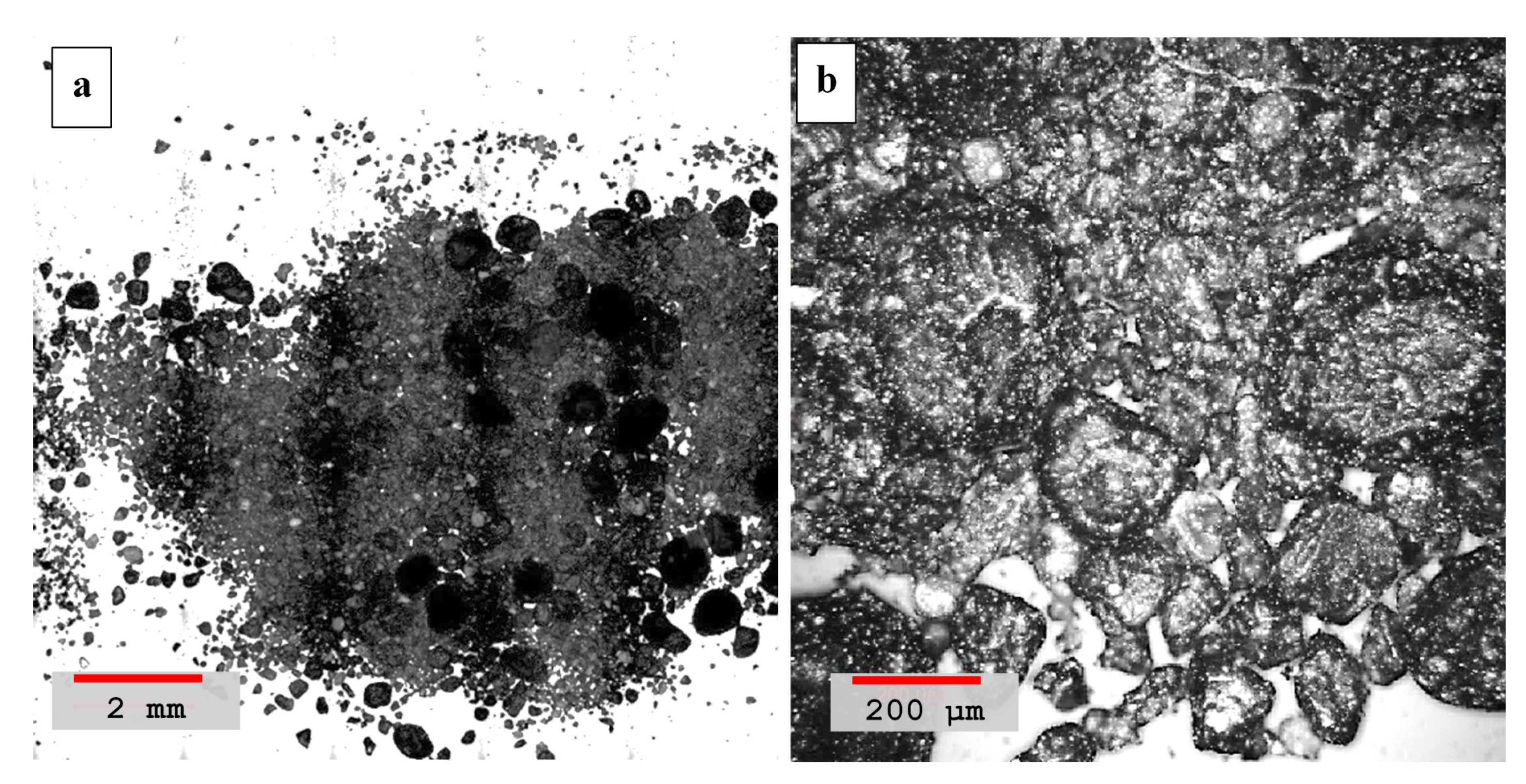 Materials 14 00645 g006