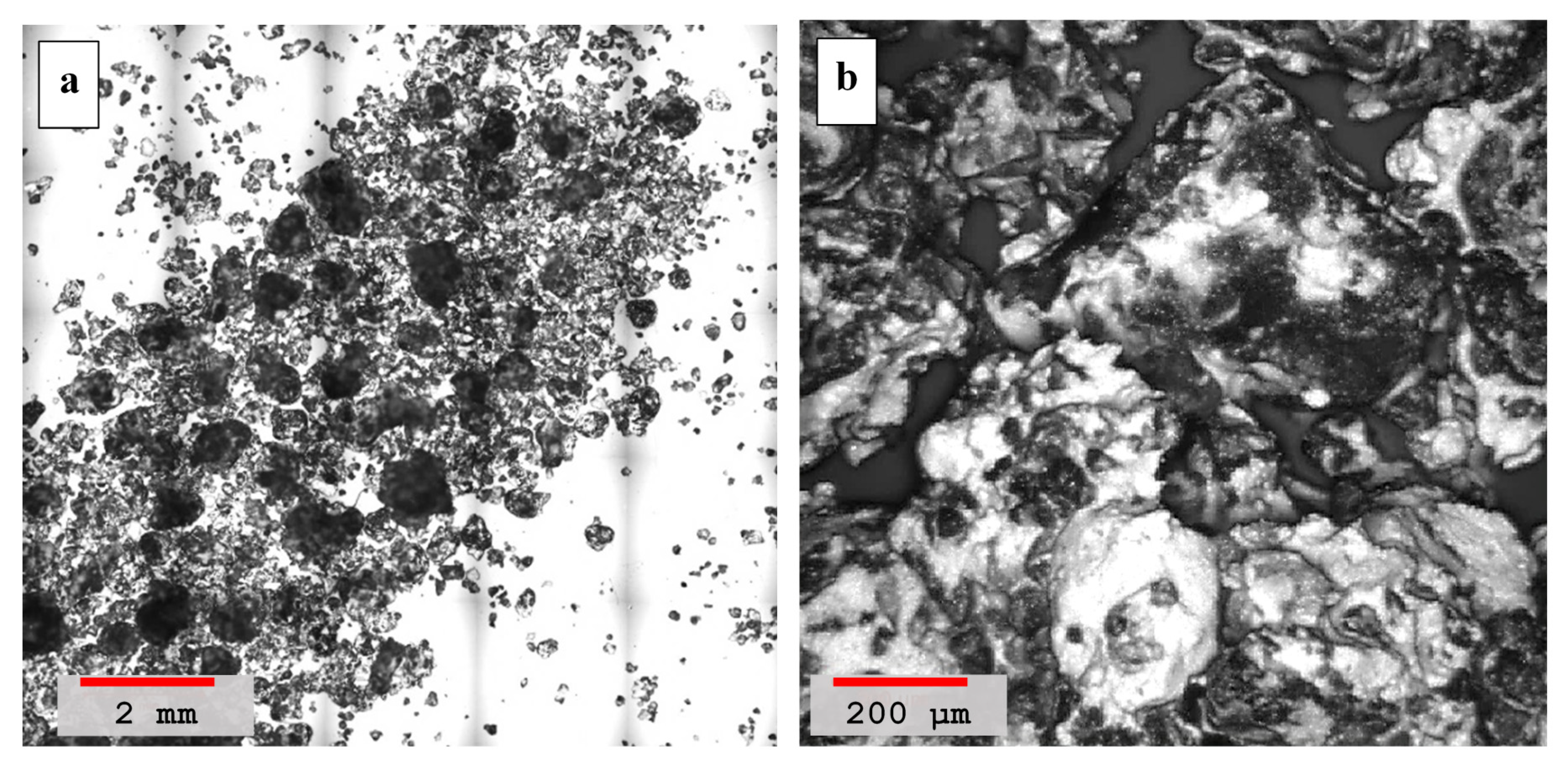 Materials 14 00645 g007