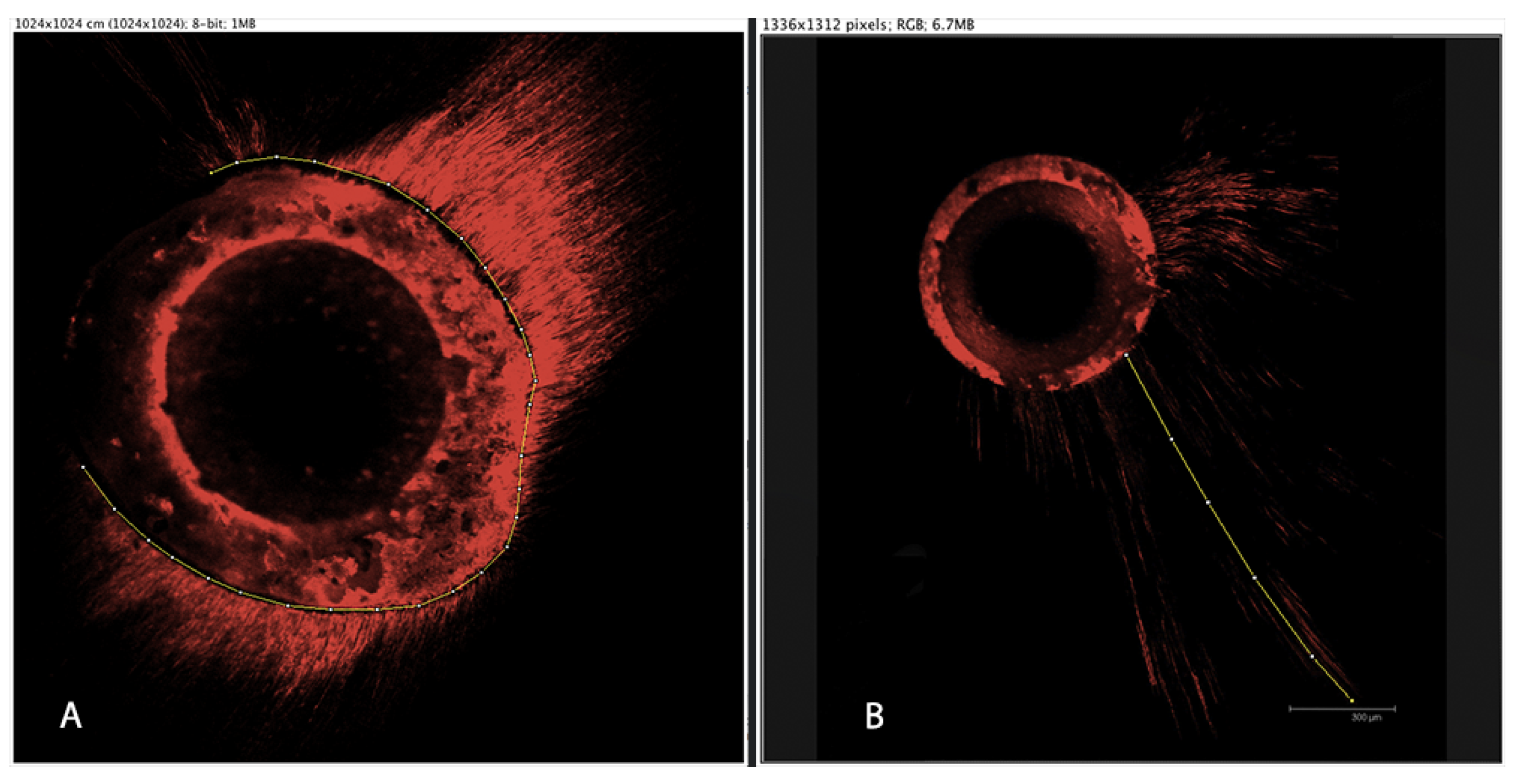 Materials 14 00659 g001 Materials 14 00659 g001