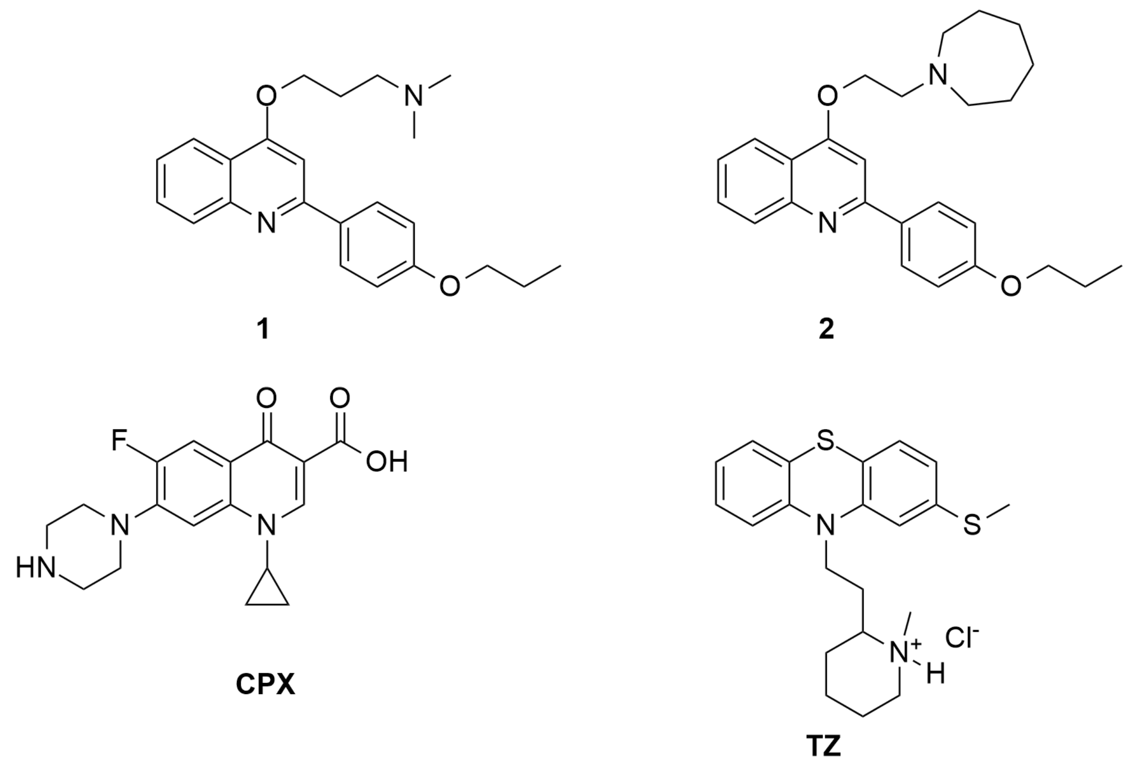Materials 14 00670 g001