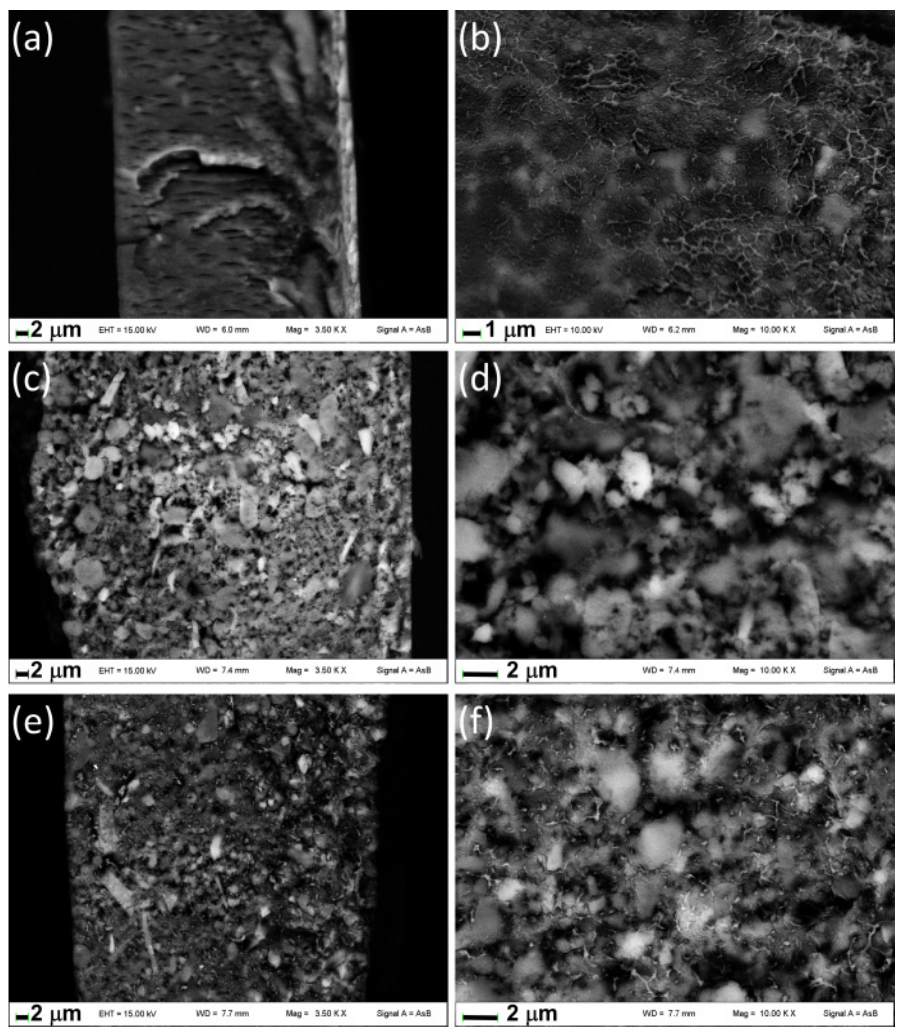 Materials 14 00670 g006