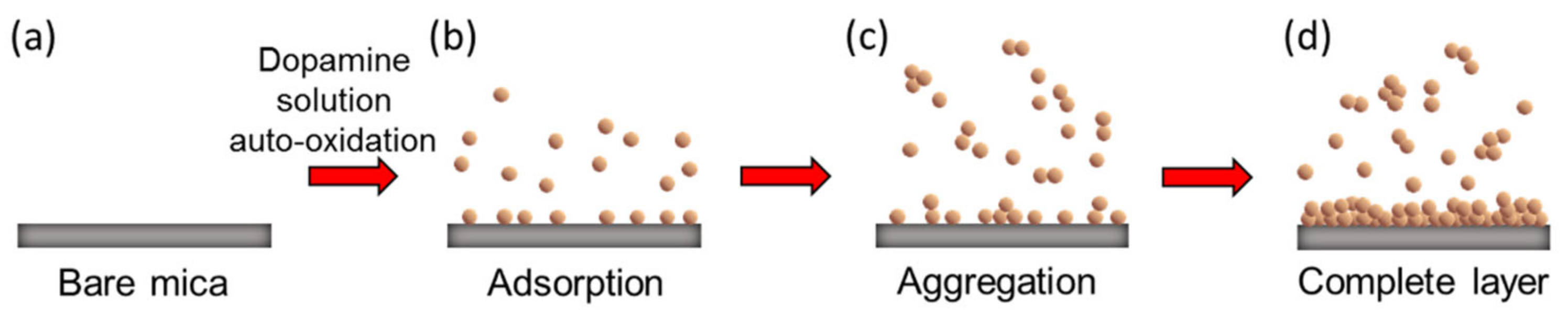 Materials 14 00671 g003