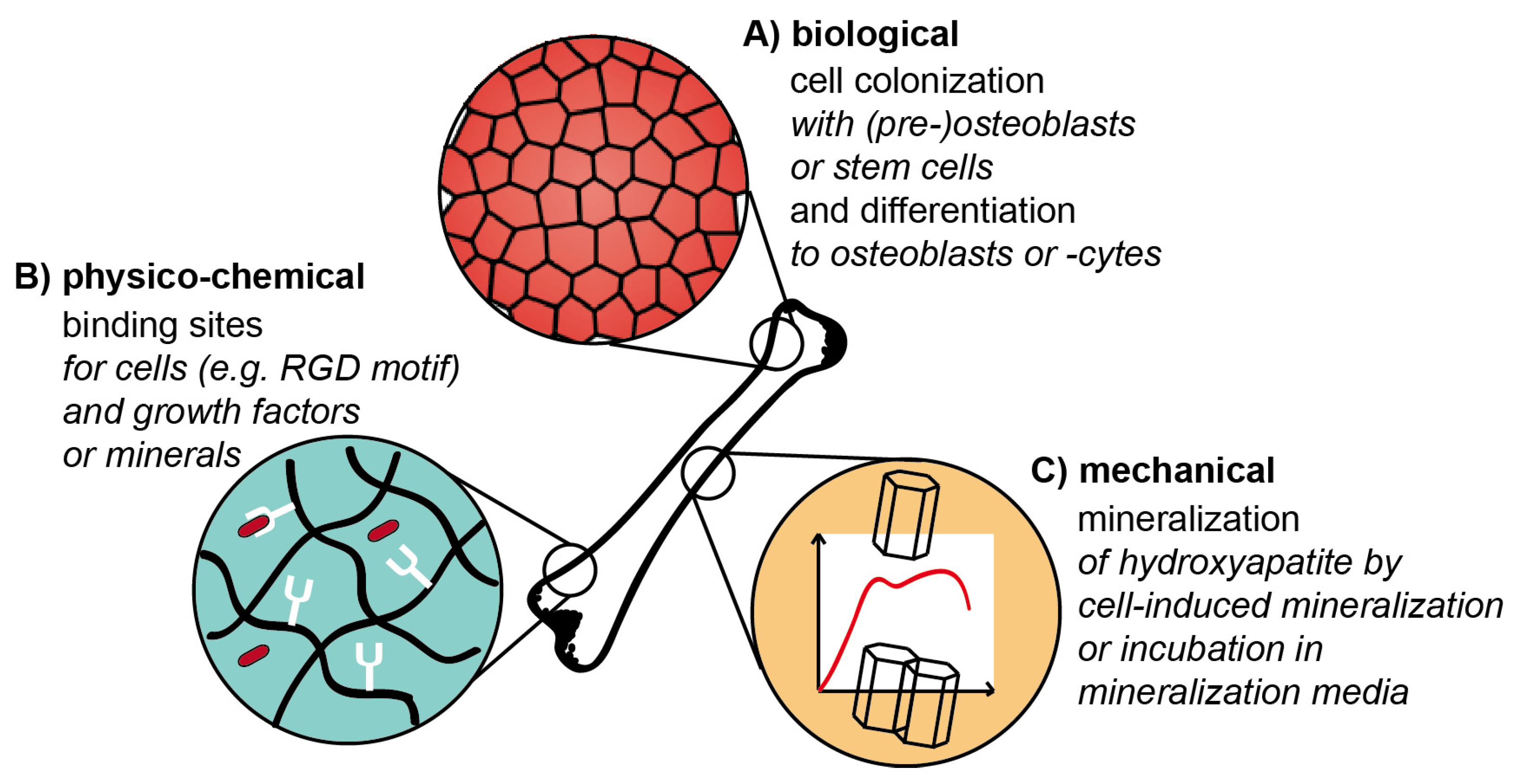 Materials 14 00674 g003 Materials 14 00674 g003