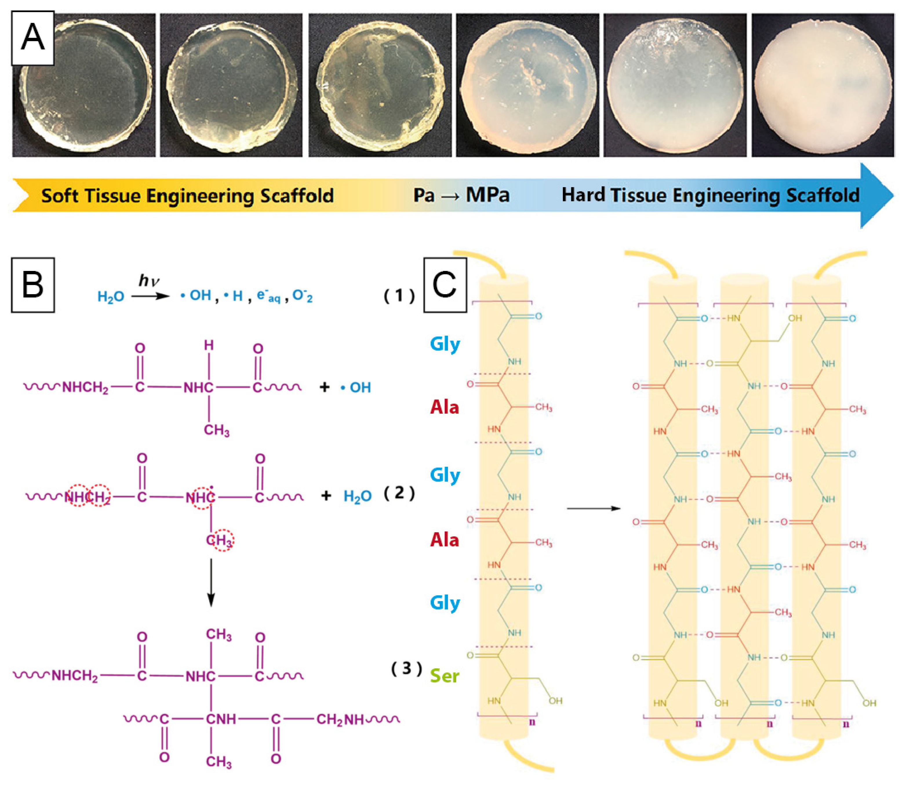Materials 14 00674 g004 Materials 14 00674 g004