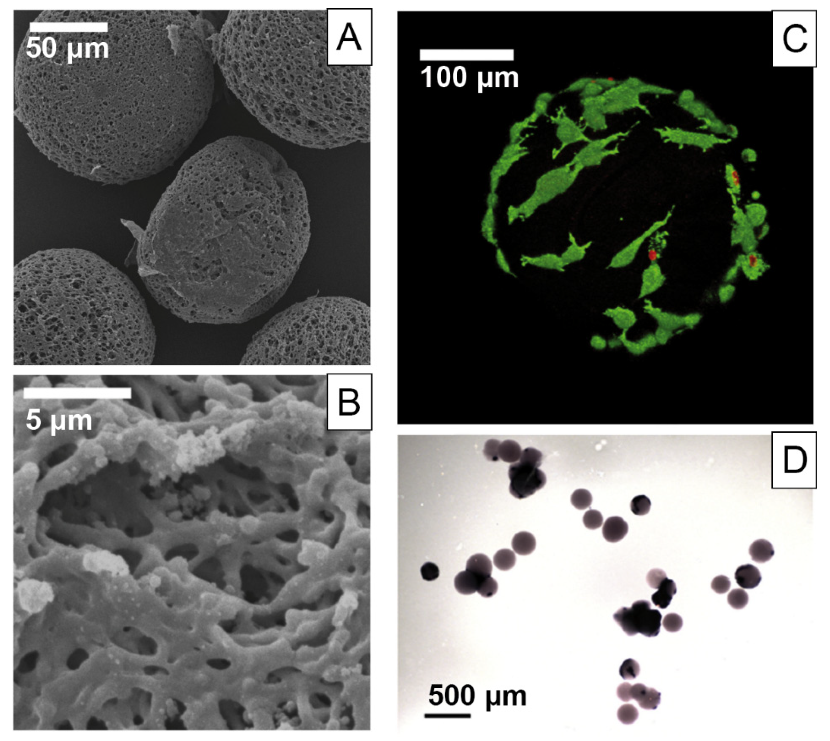 Materials 14 00674 g006 Materials 14 00674 g006