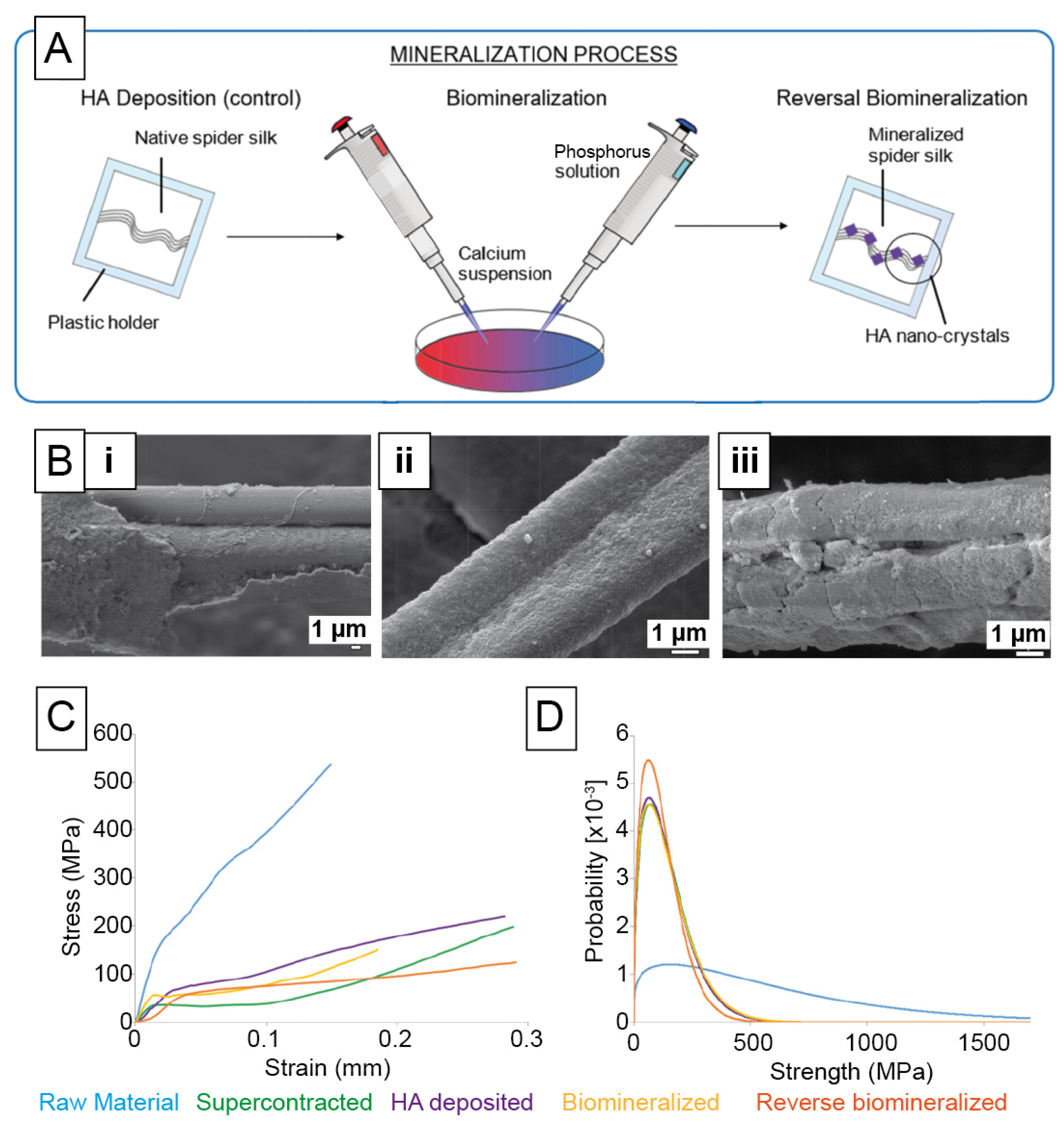 Materials 14 00674 g007 Materials 14 00674 g007