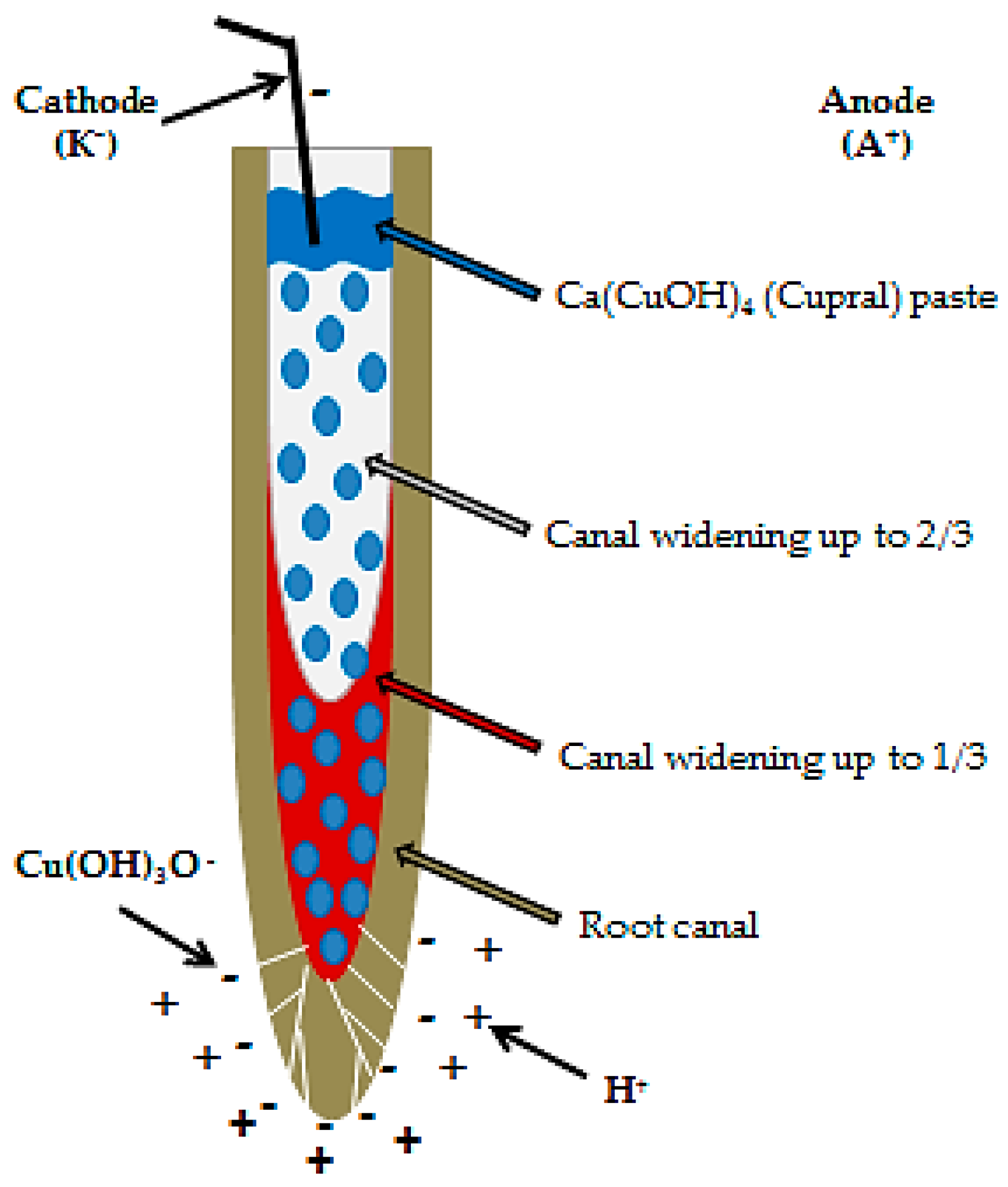 Materials 14 00678 sch002 Materials 14 00678 sch002