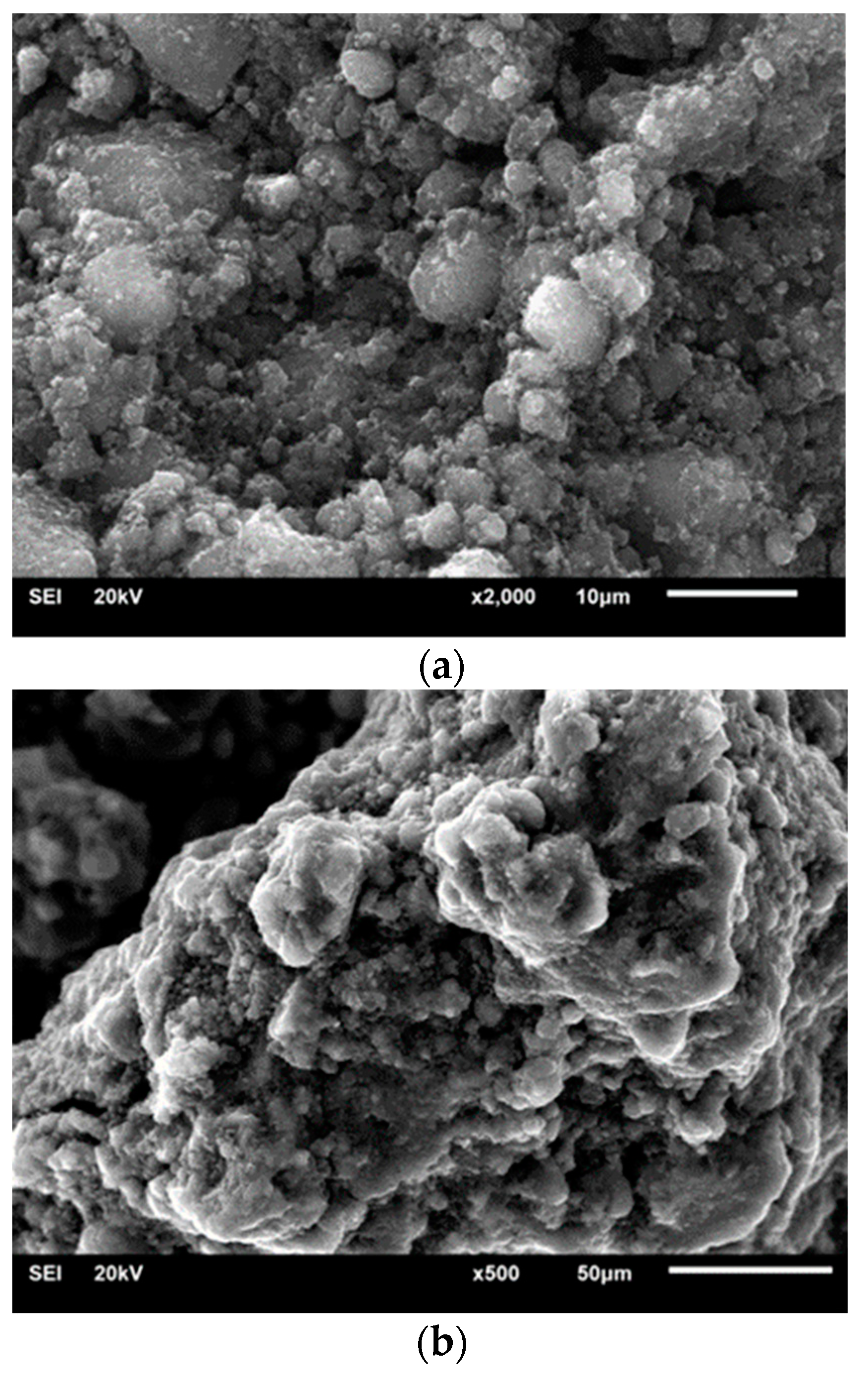 Materials 14 00679 g006