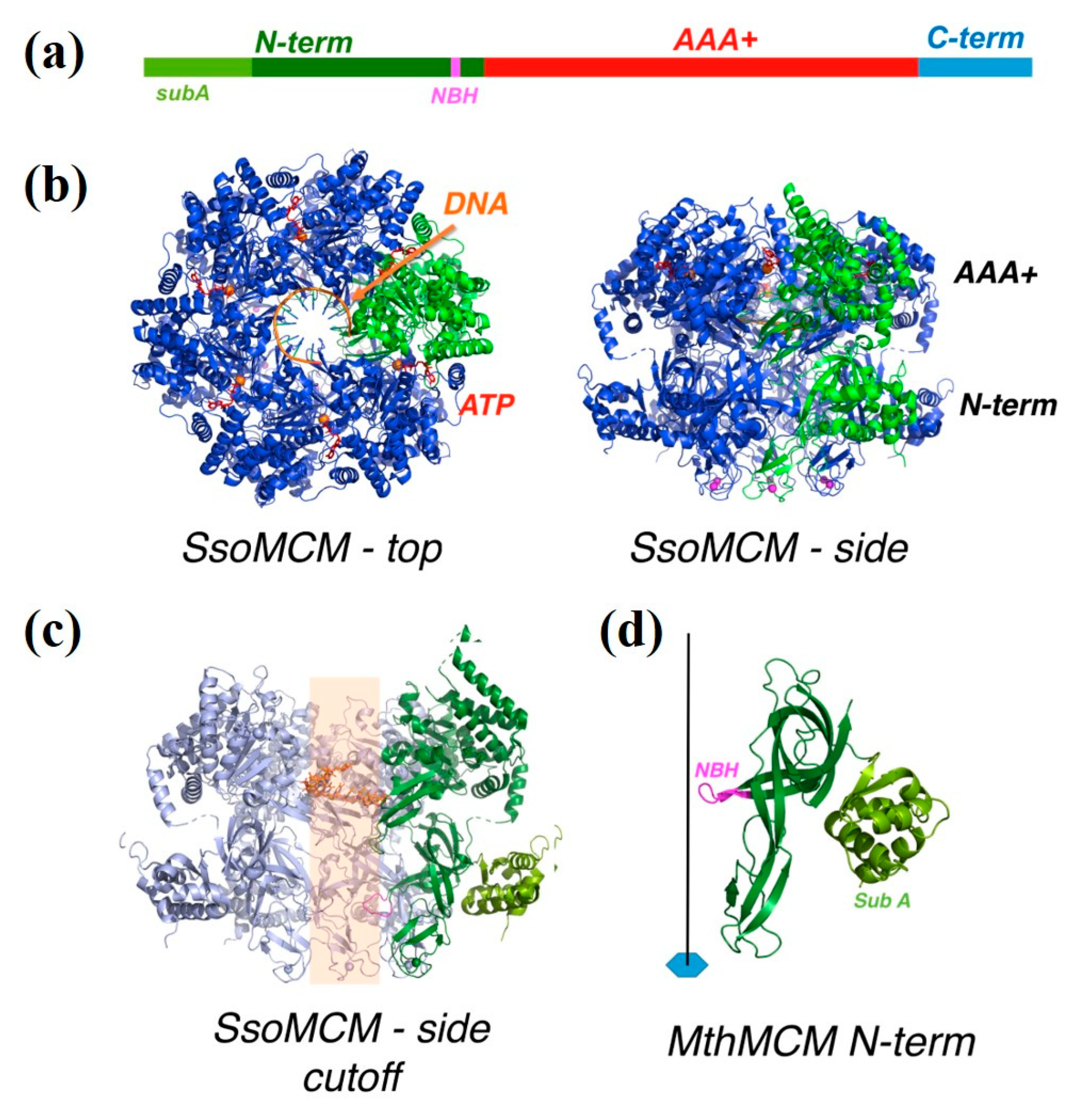 Materials 14 00687 g001