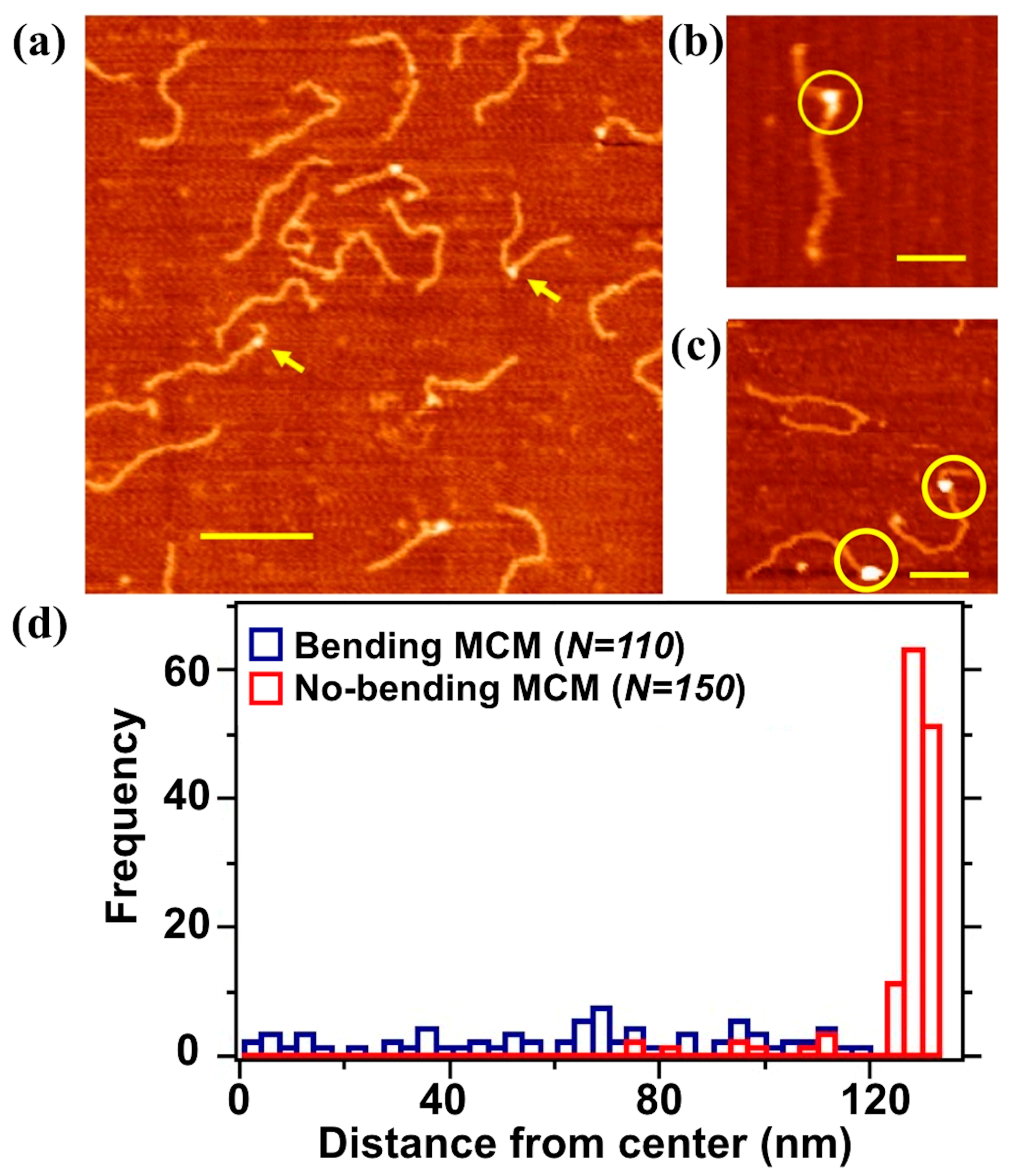 Materials 14 00687 g003