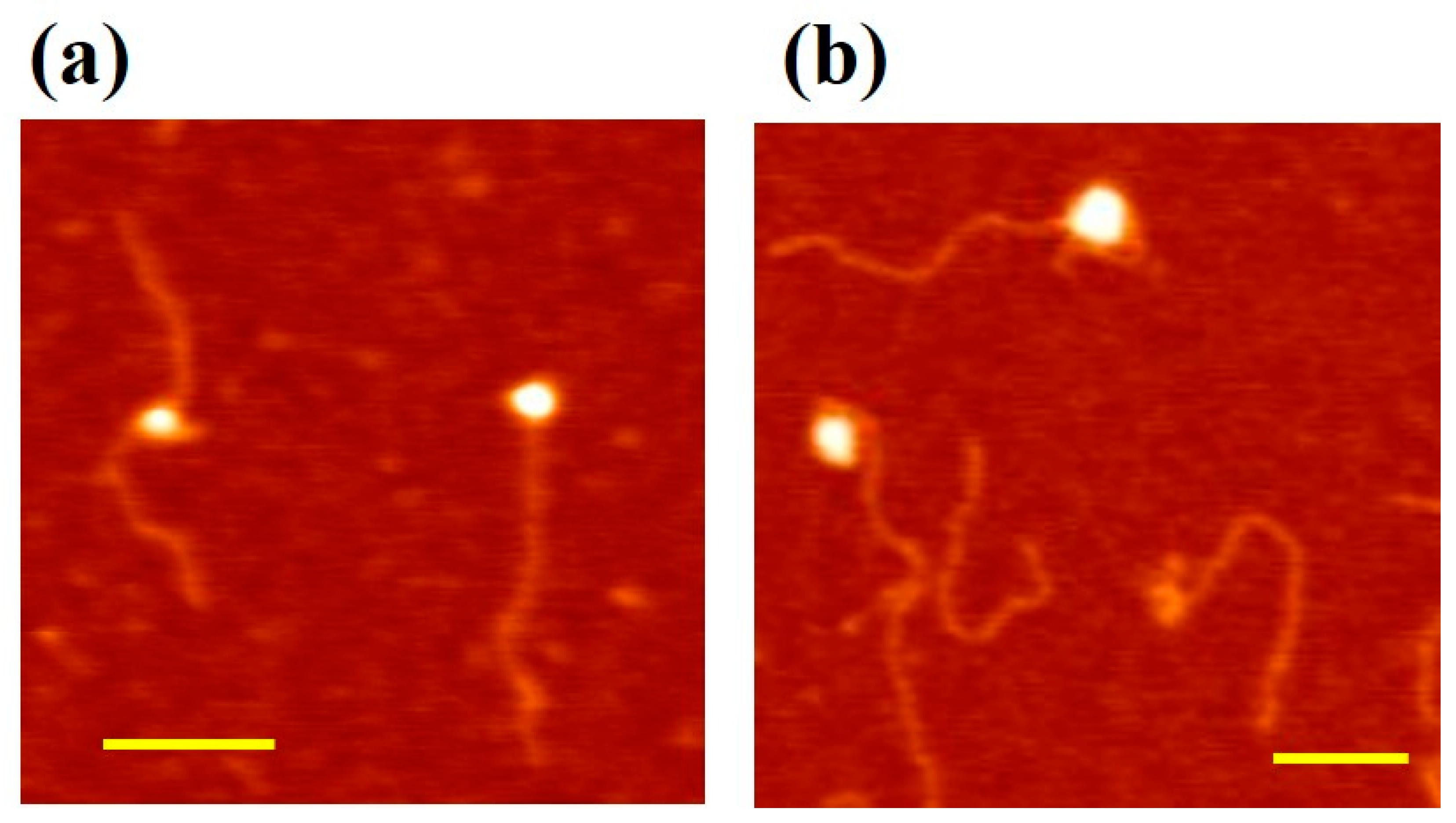 Materials 14 00687 g004