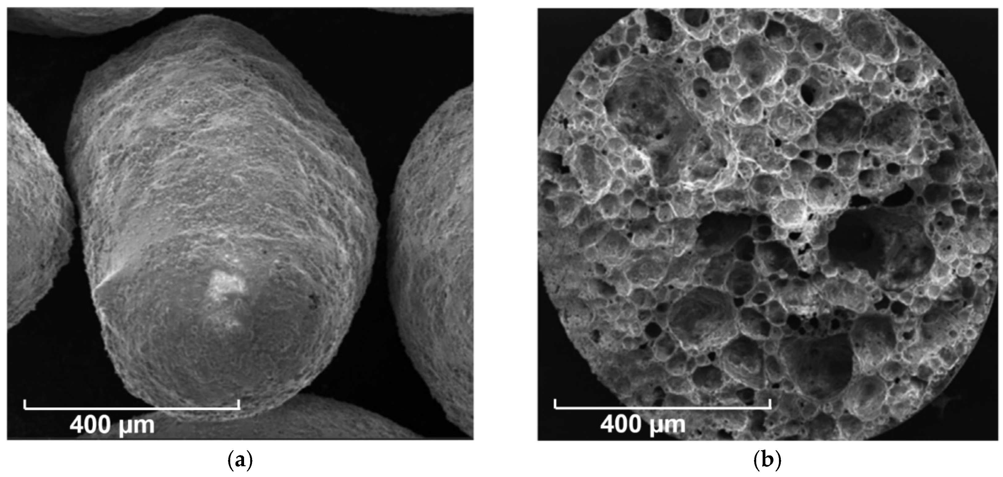 Materials 14 00699 g003