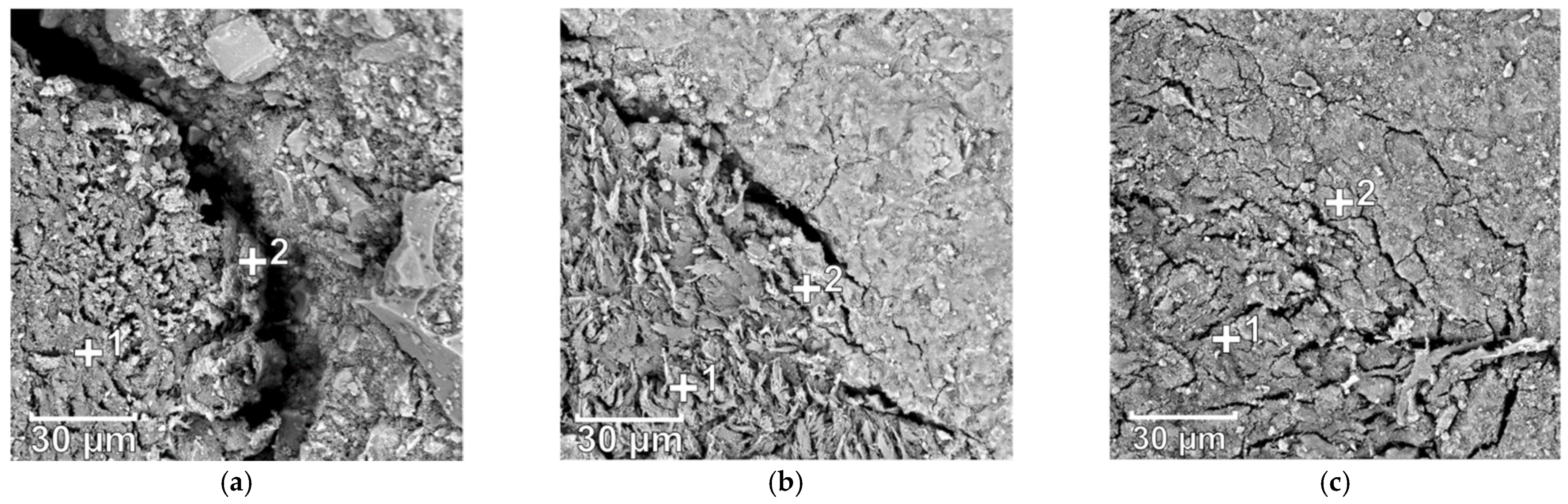 Materials 14 00699 g008