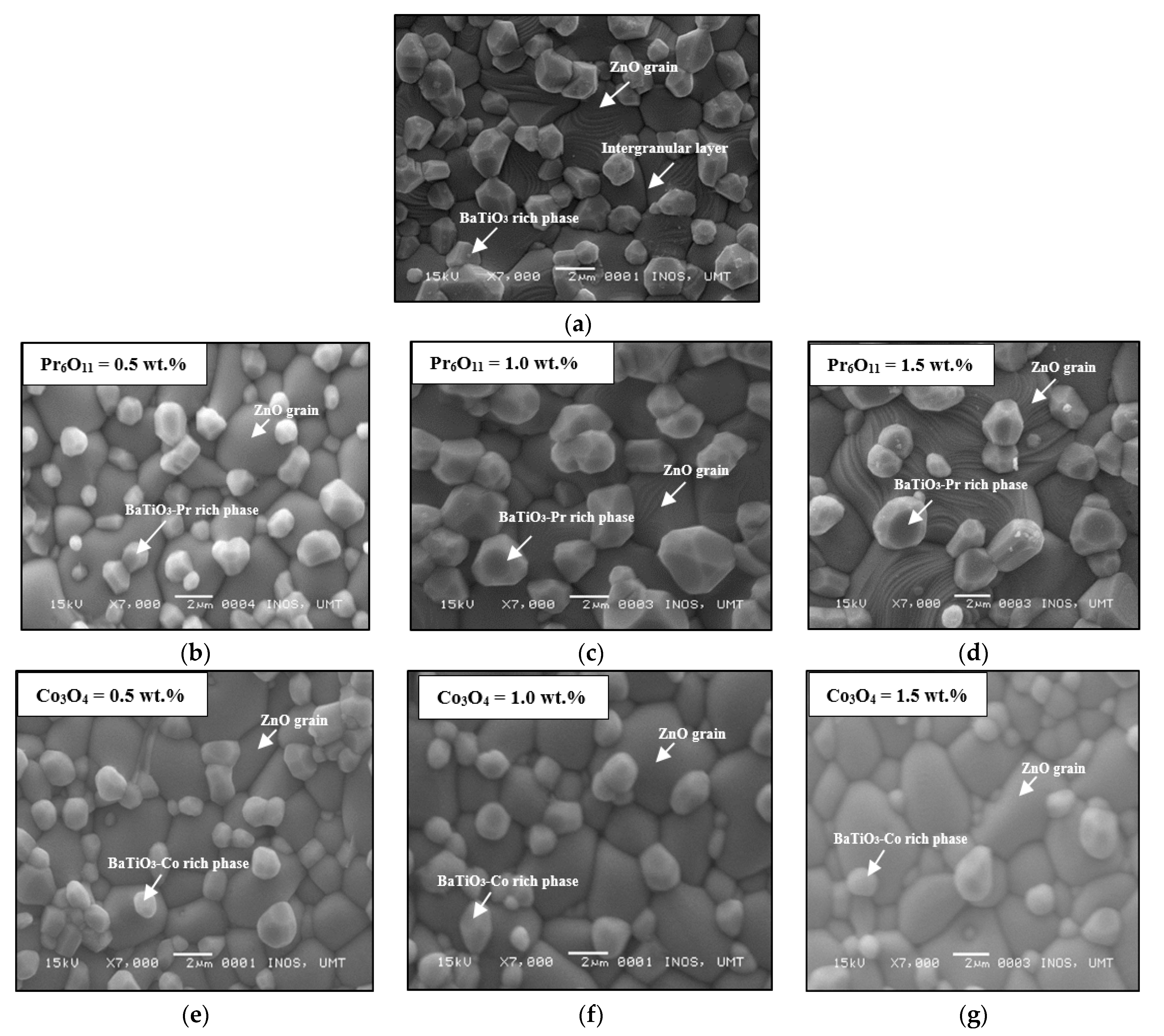 Materials 14 00702 g001