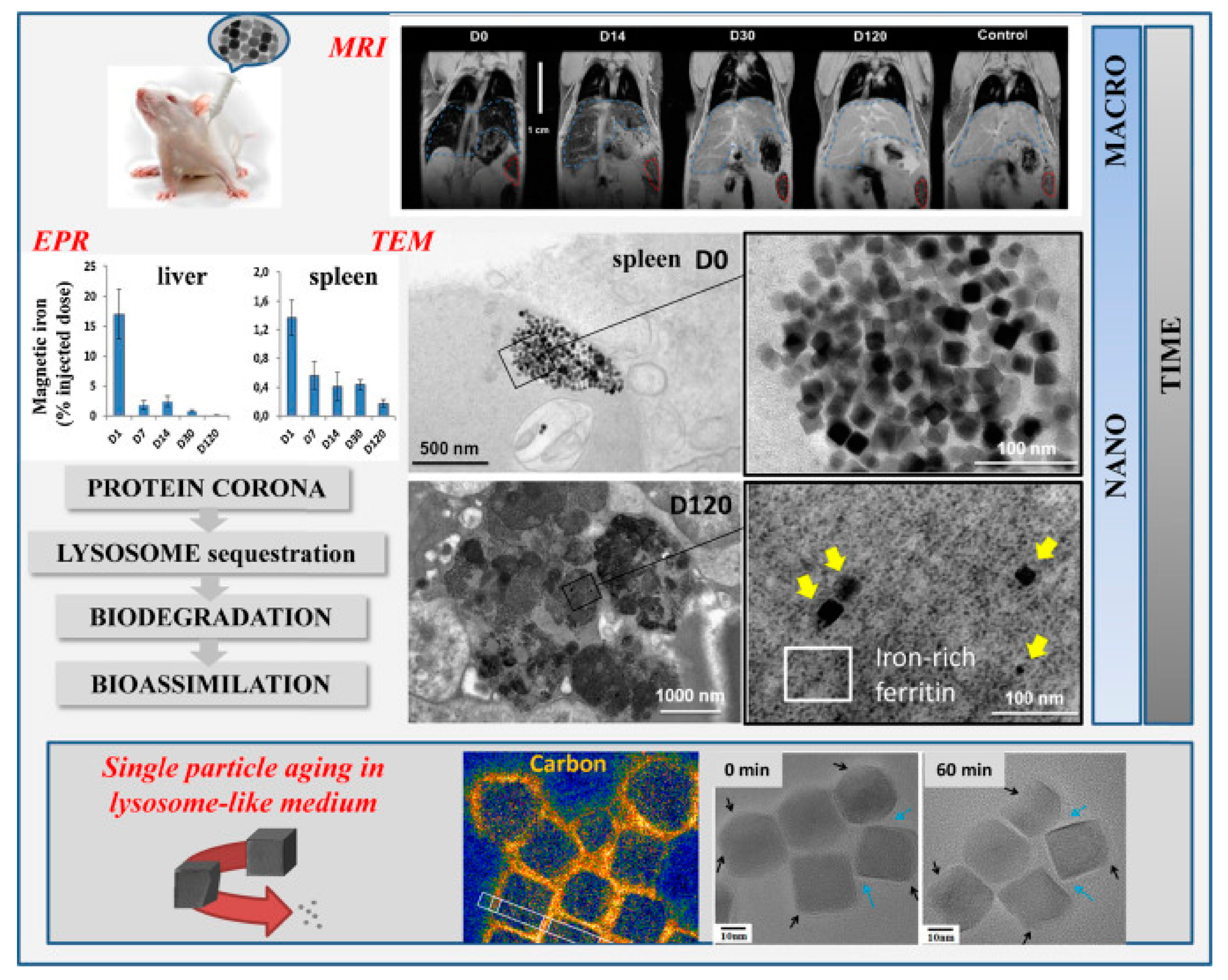 Materials 14 00706 g002 Materials 14 00706 g002