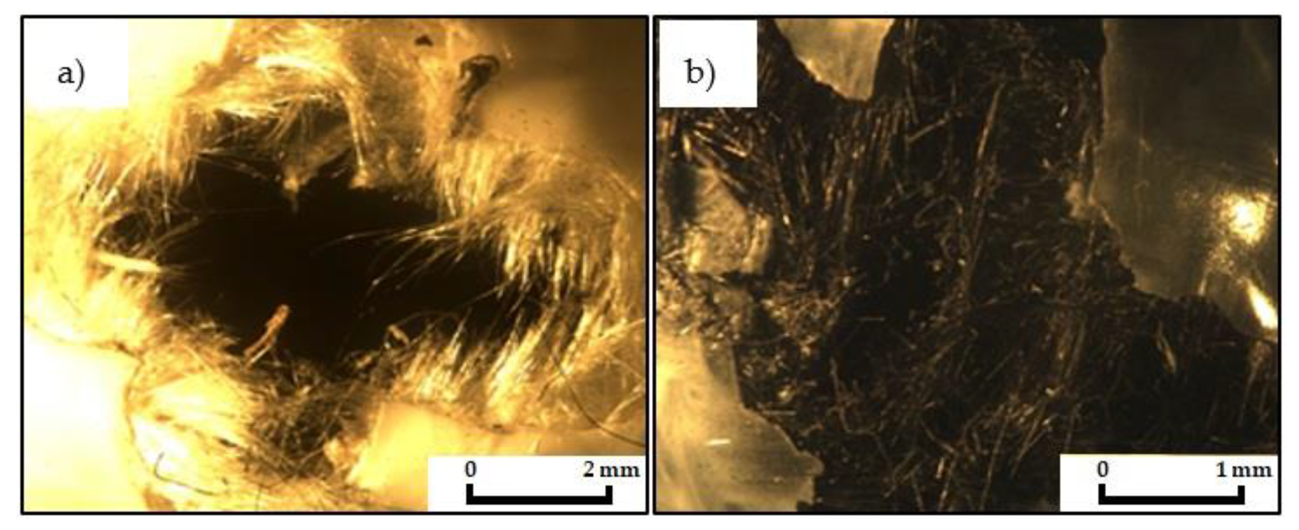 Materials 14 00709 g009