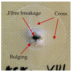 Materials 14 00709 i023