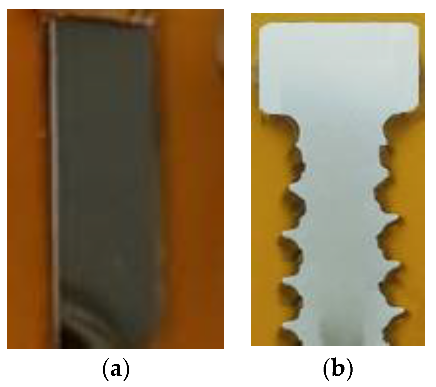 Materials 14 00710 g006