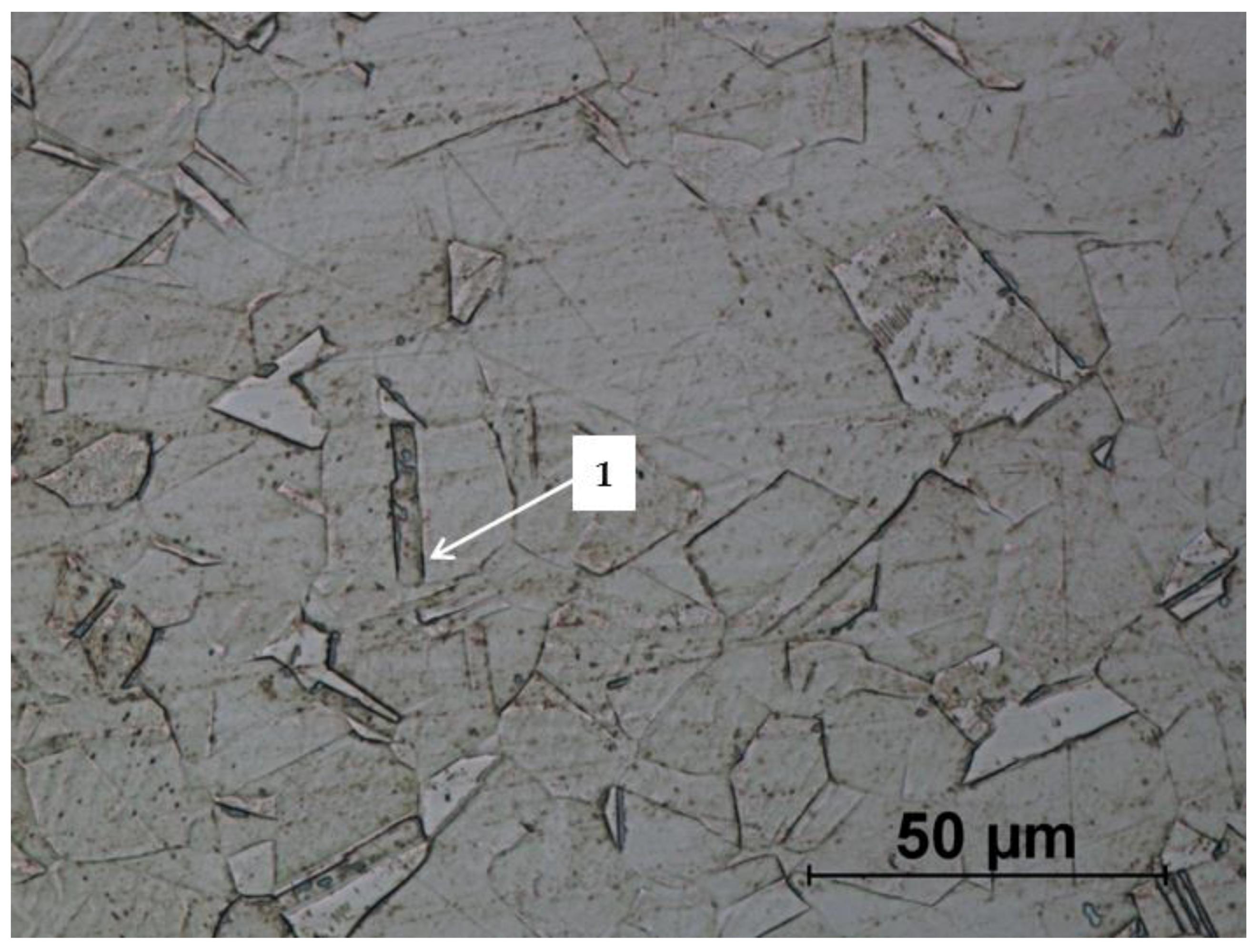 Materials 14 00710 g016