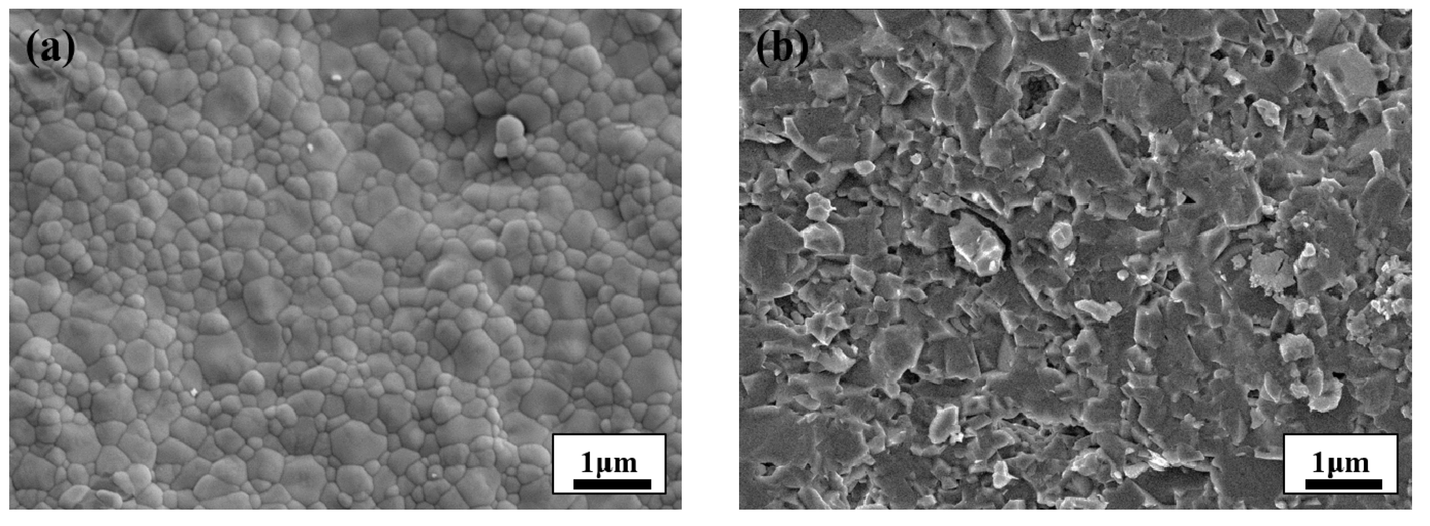 Materials 14 00721 g001 550