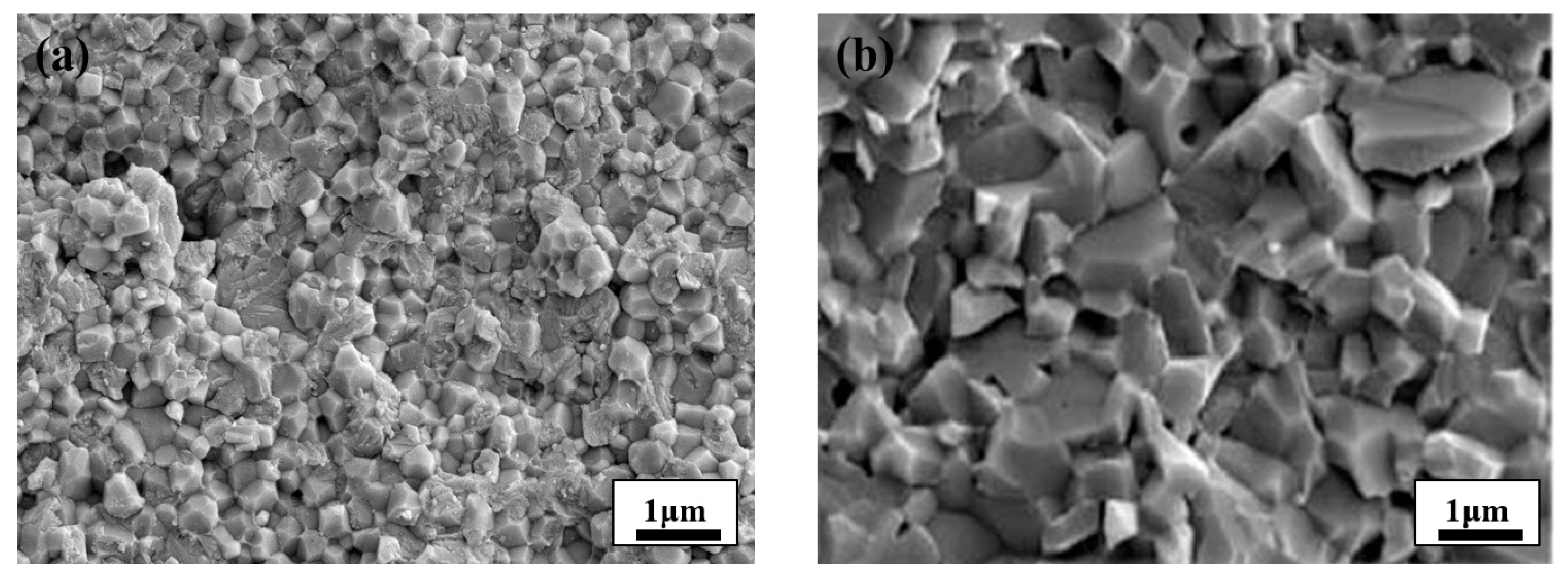 Materials 14 00721 g002 550