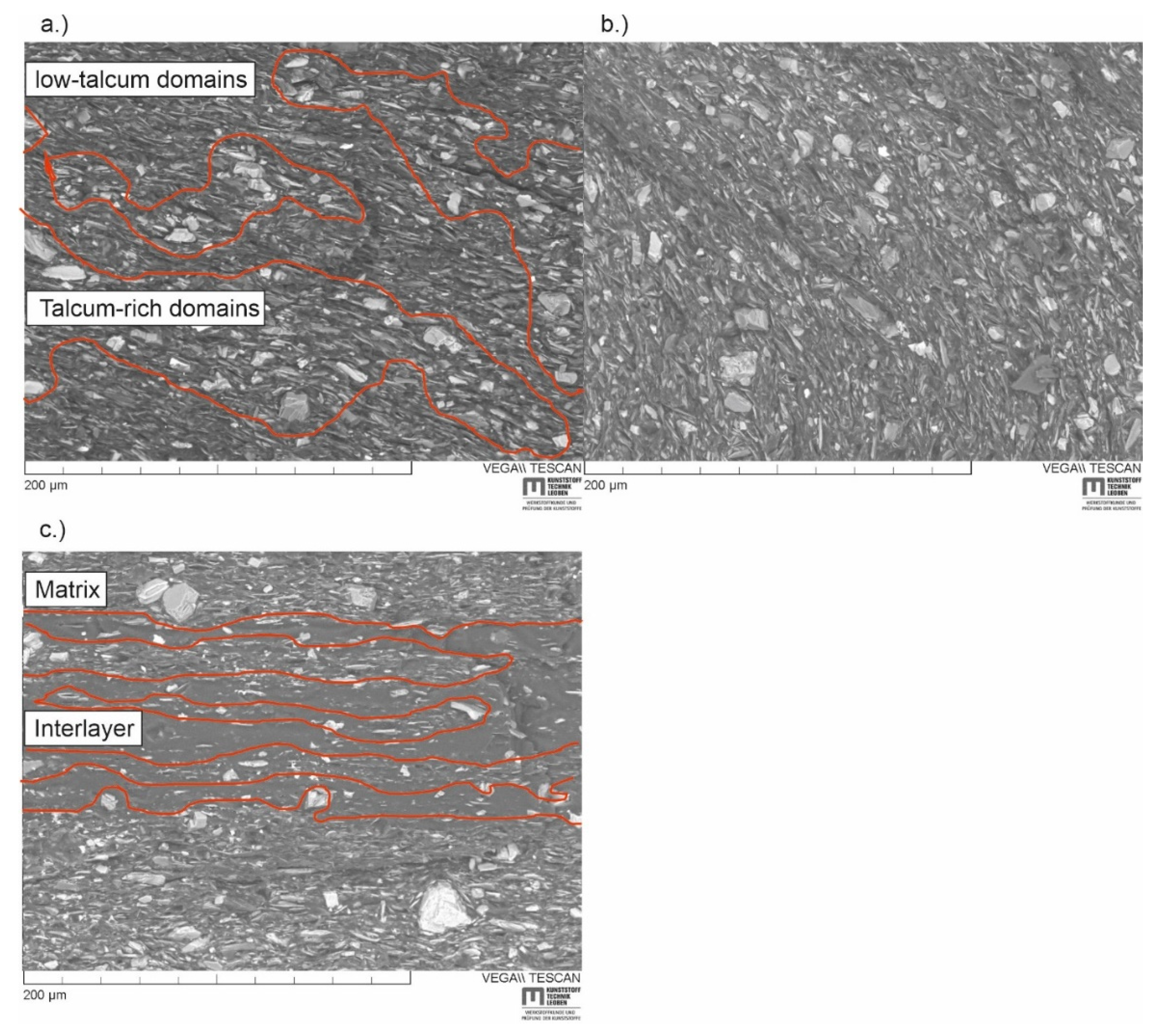 Materials 14 00725 g006