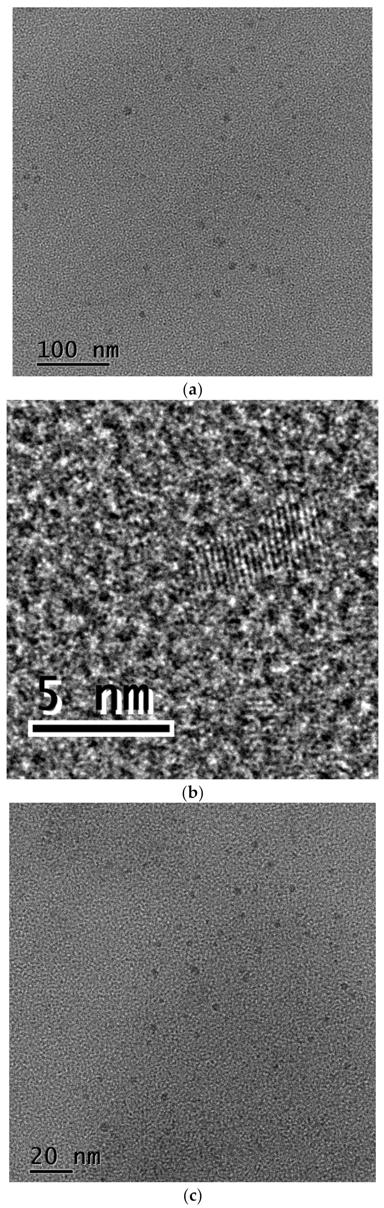 Materials 14 00729 g004a Materials 14 00729 g004a