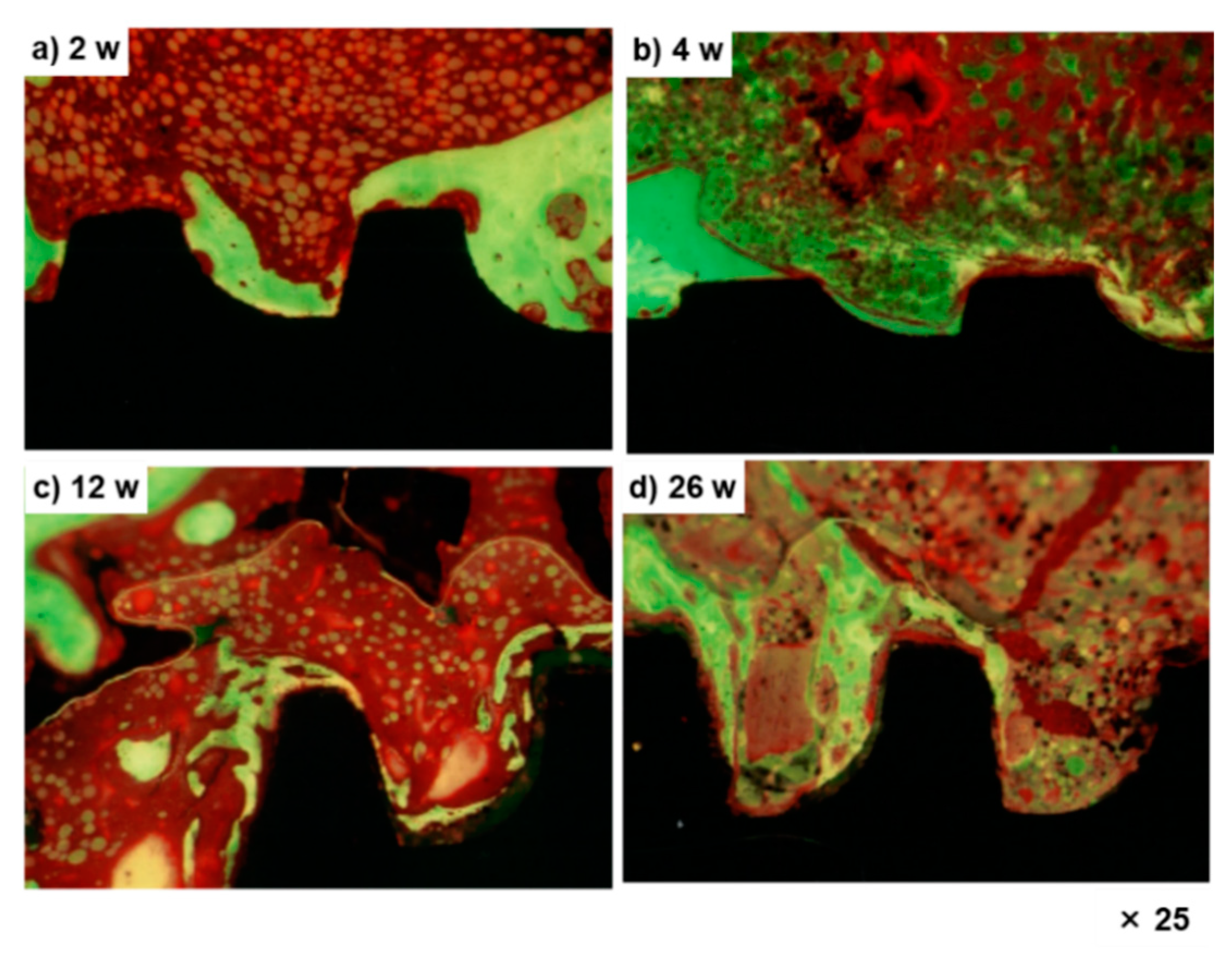 Materials 14 00731 g005