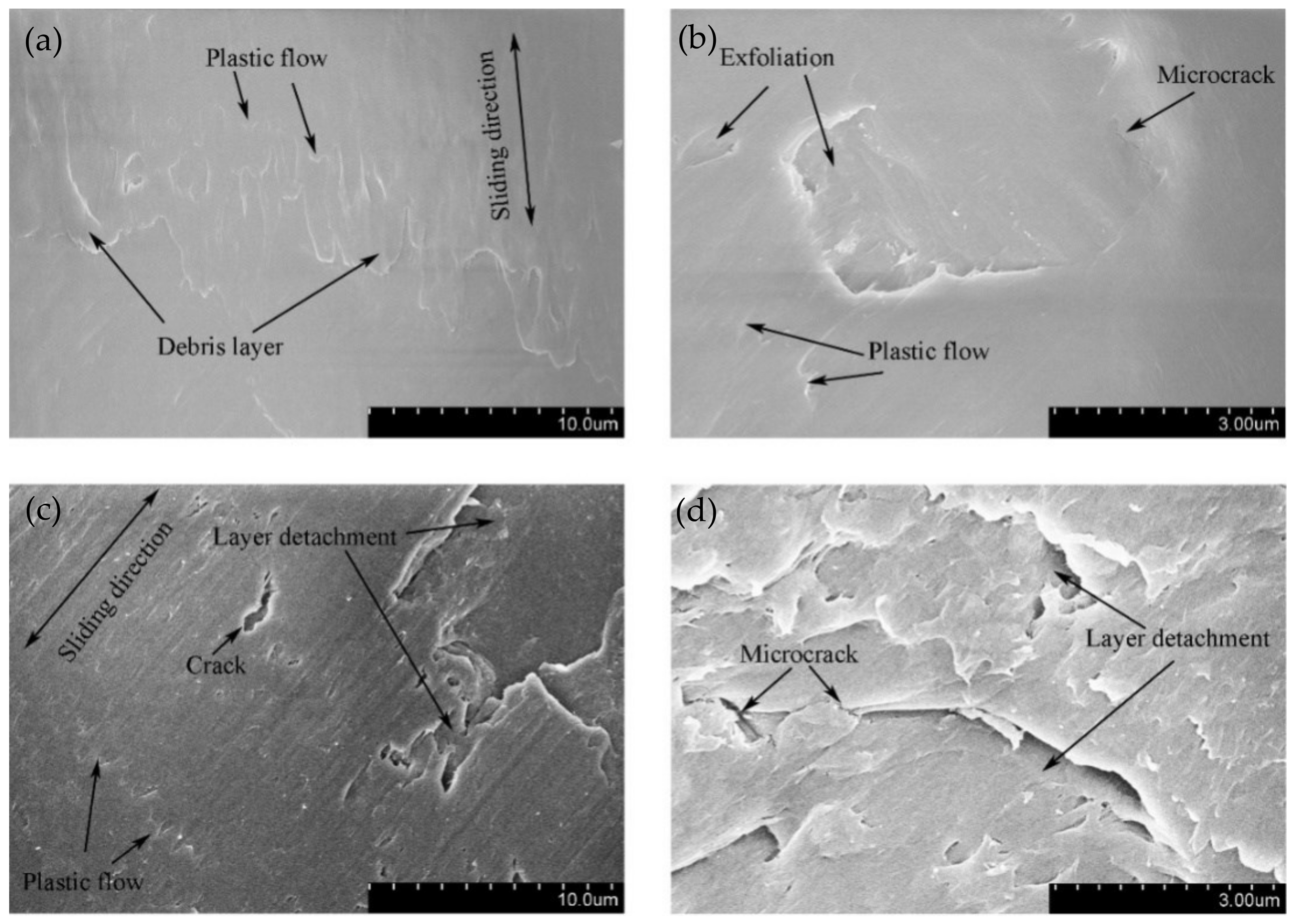 Materials 14 00734 g012 Materials 14 00734 g012