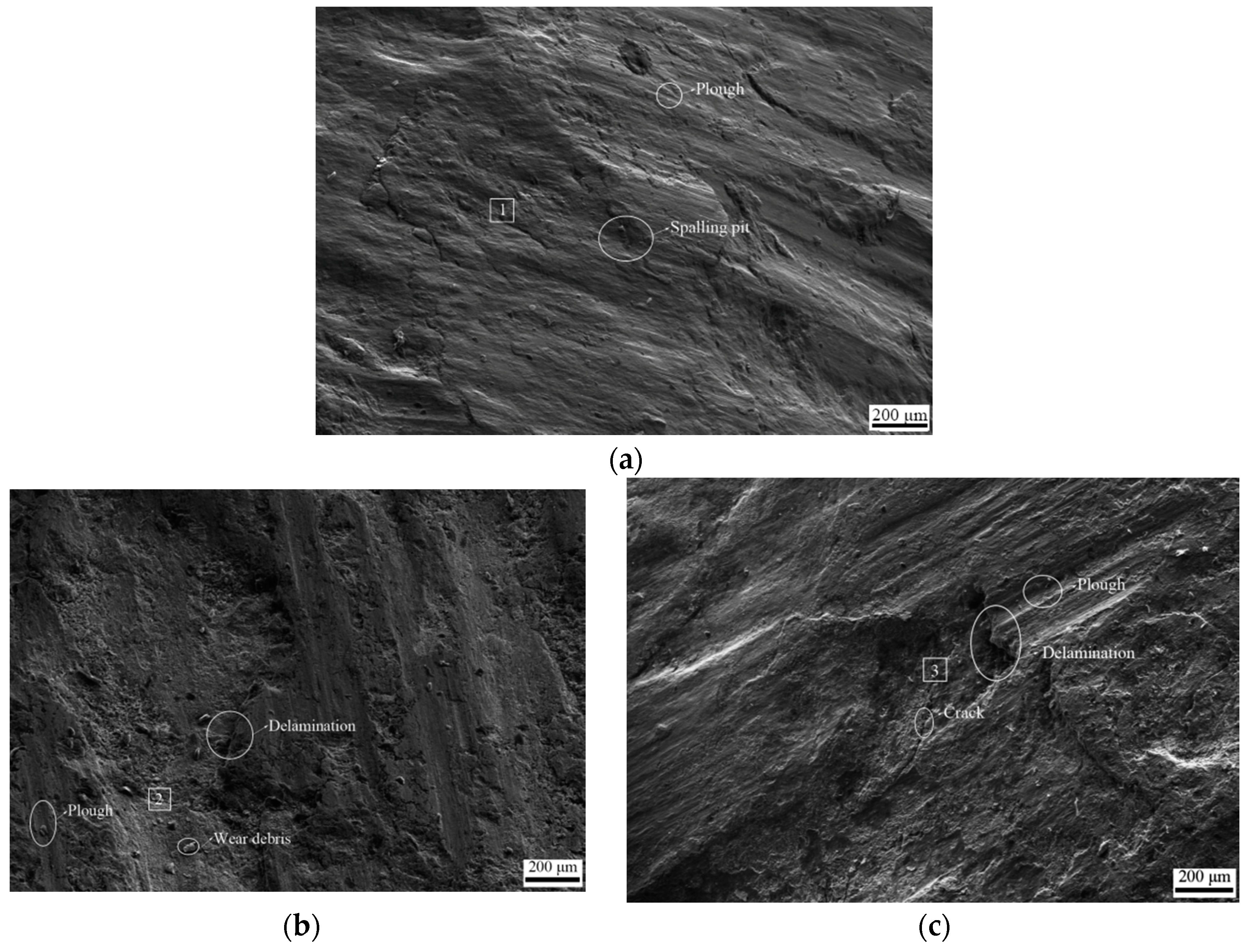 Materials 14 00735 g004