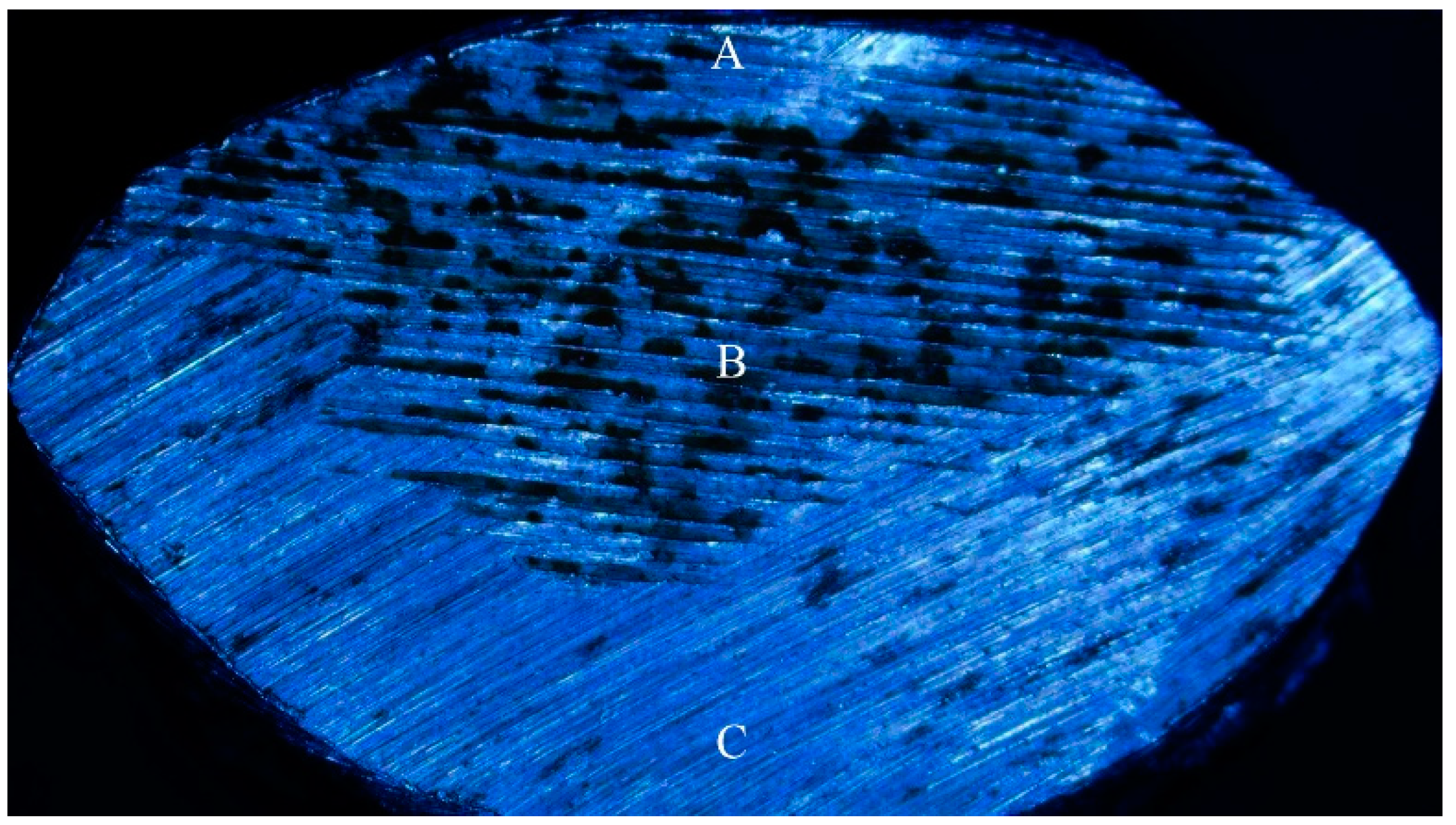 Materials 14 00735 g007