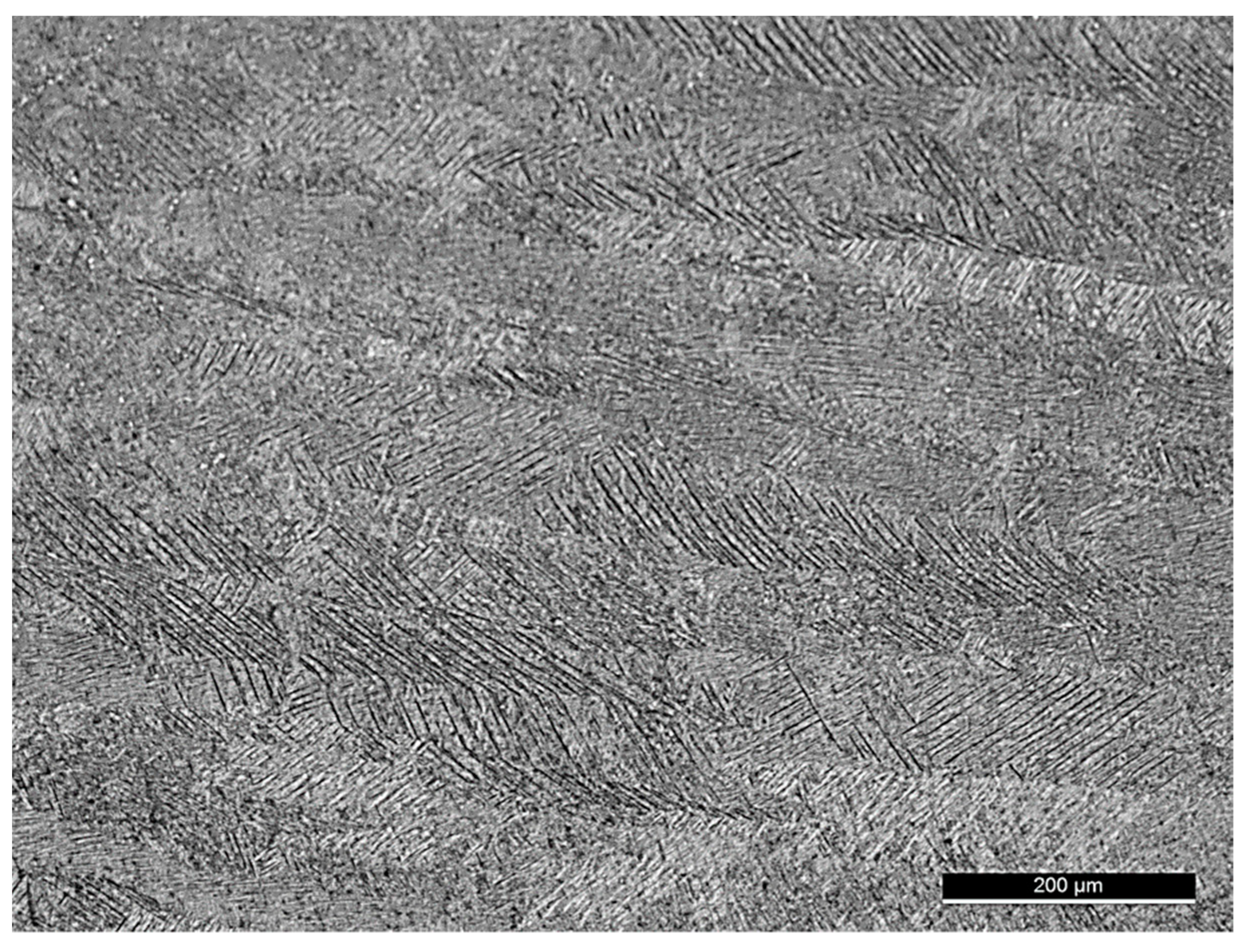 Materials 14 00737 g001