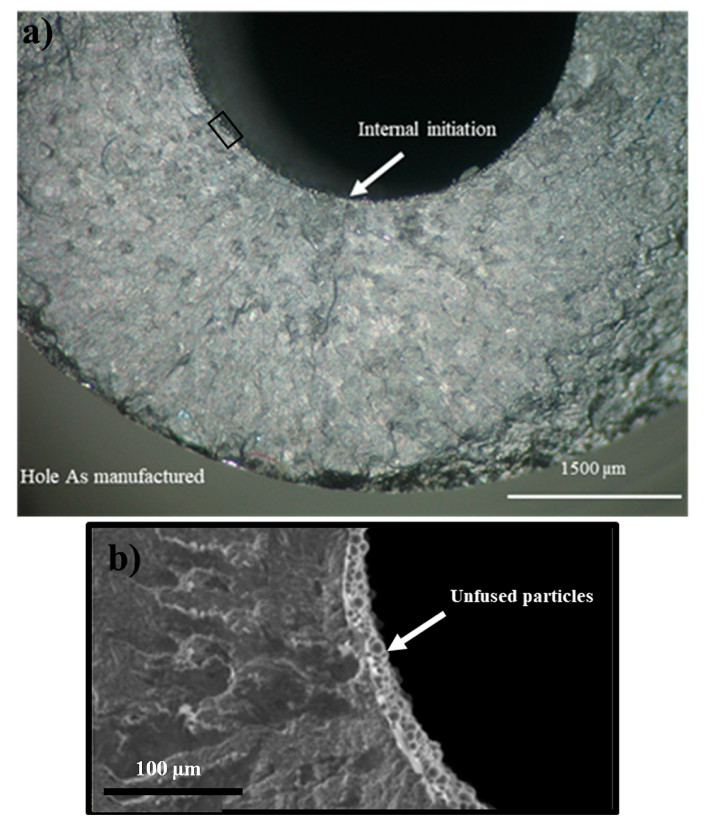 Materials 14 00737 g005