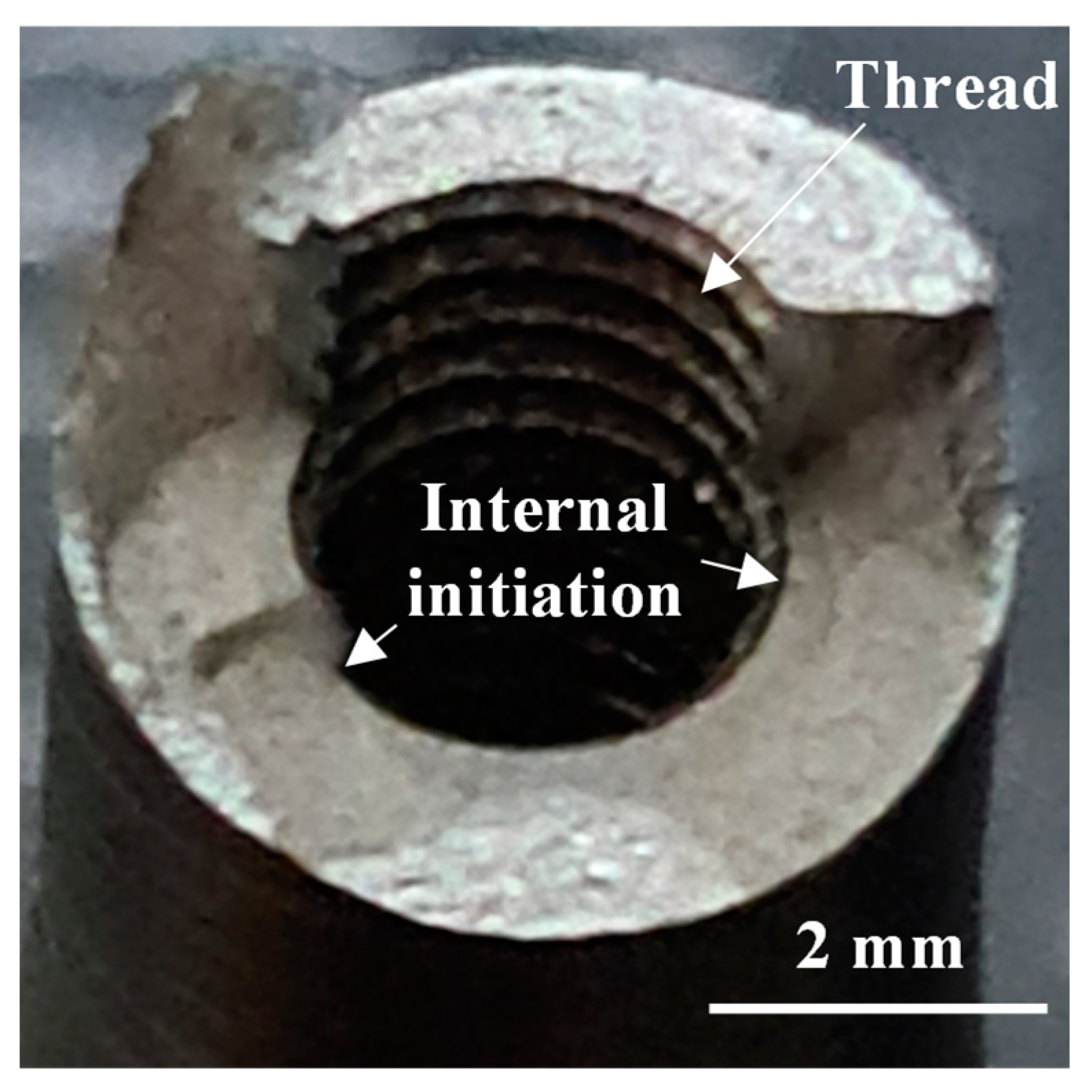 Materials 14 00737 g006