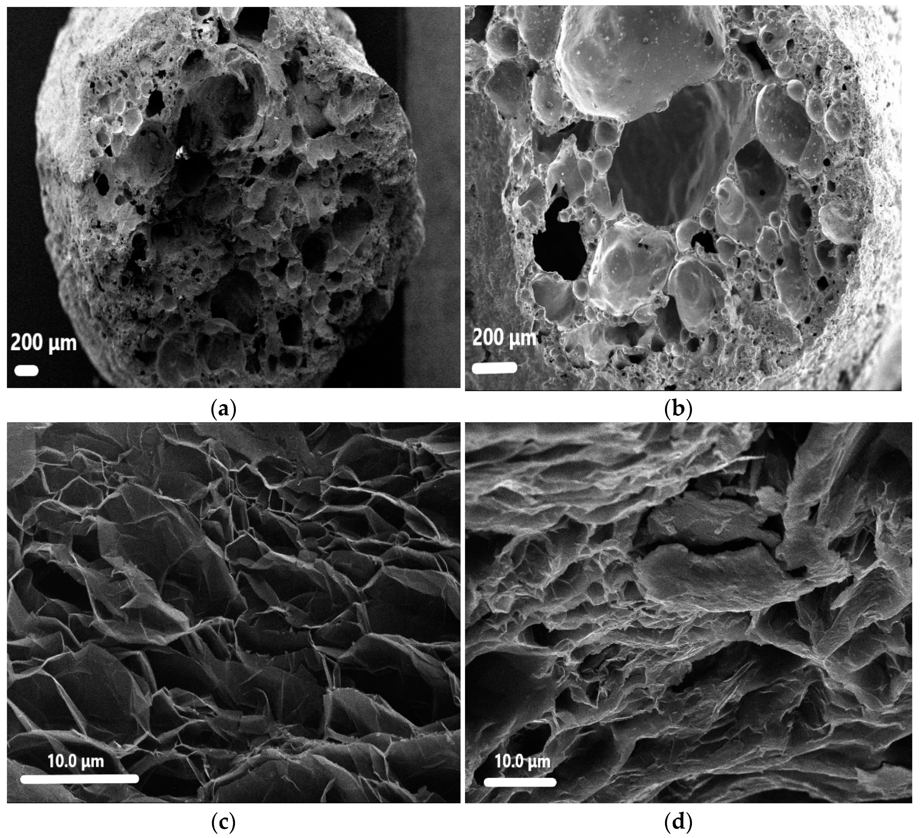 Materials 14 00740 g004 Materials 14 00740 g004