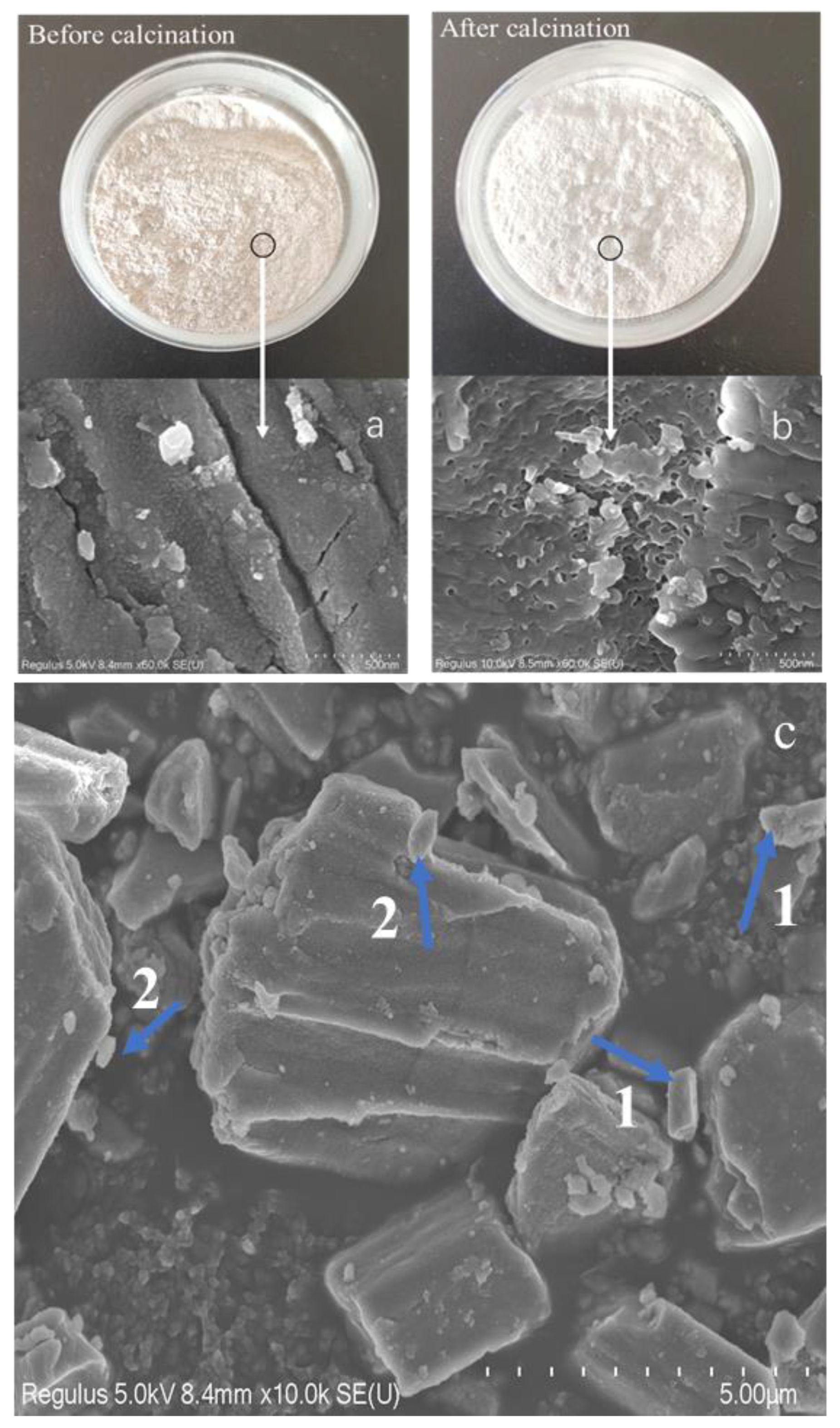 Materials 14 00741 g004