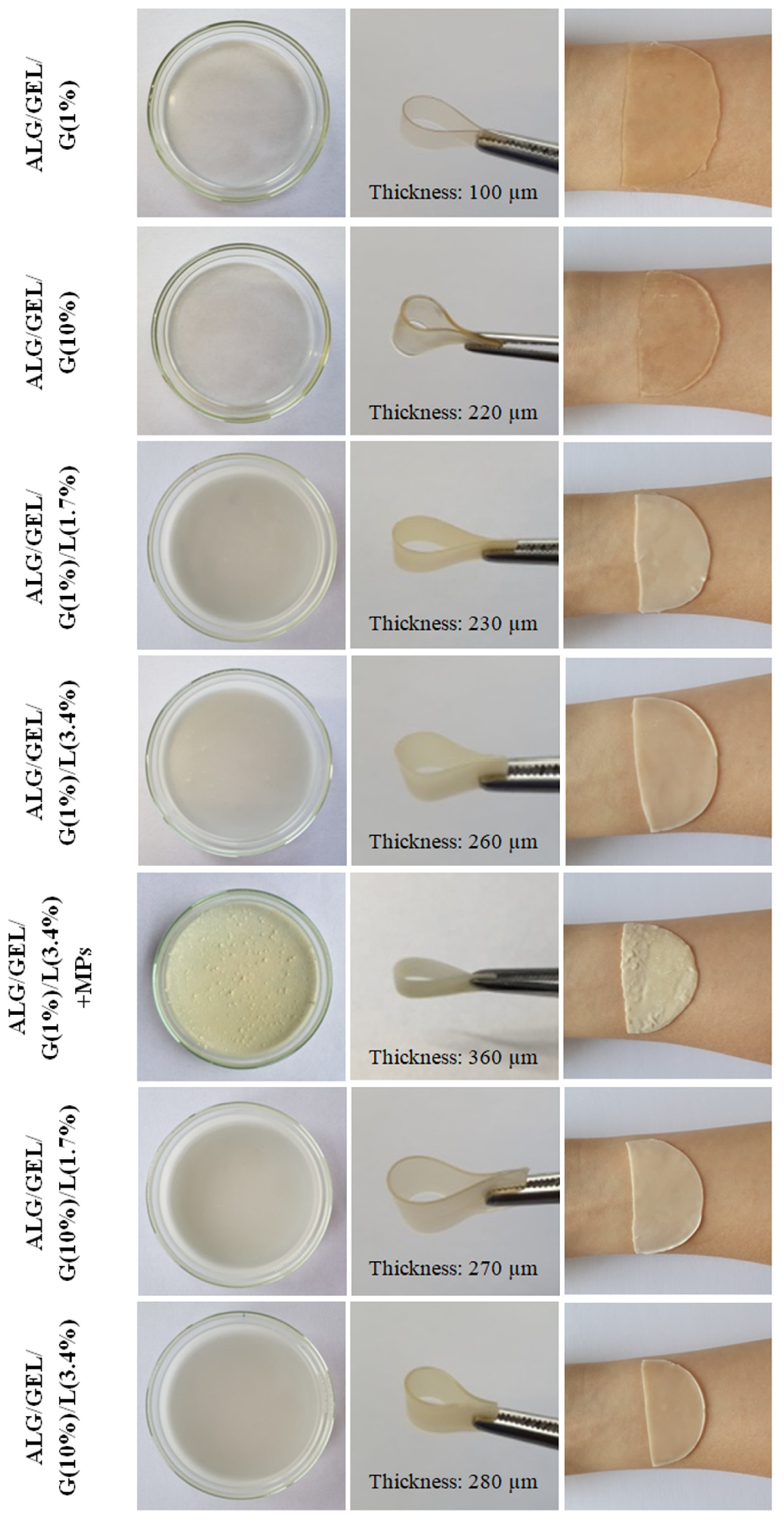 Materials 14 00745 g003