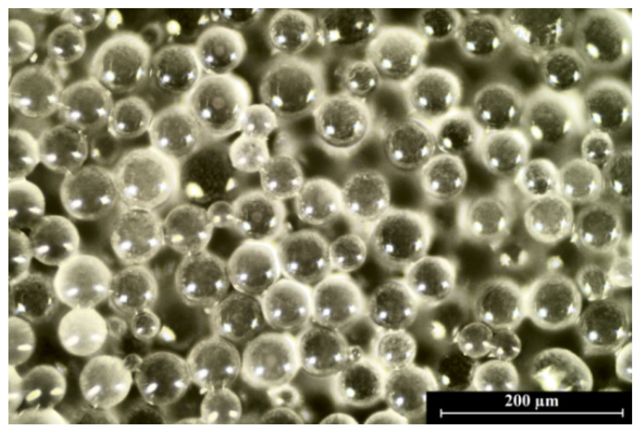 Materials Free FullText Design of Sodium Alginate/GelatinBased
