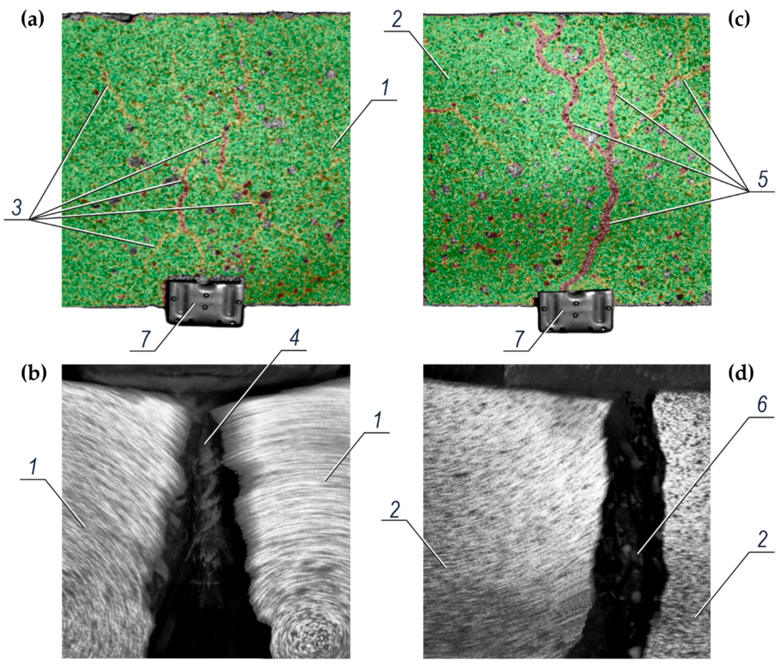 Materials 14 00747 g011