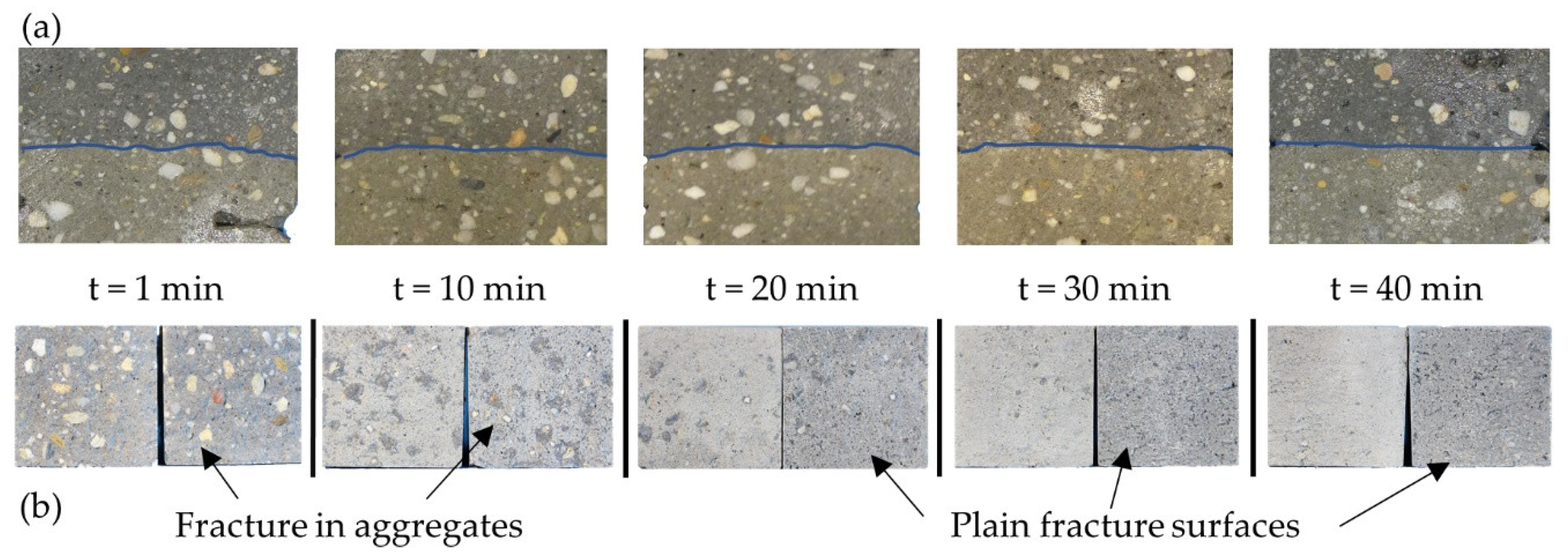 Materials 14 00752 g009 Materials 14 00752 g009