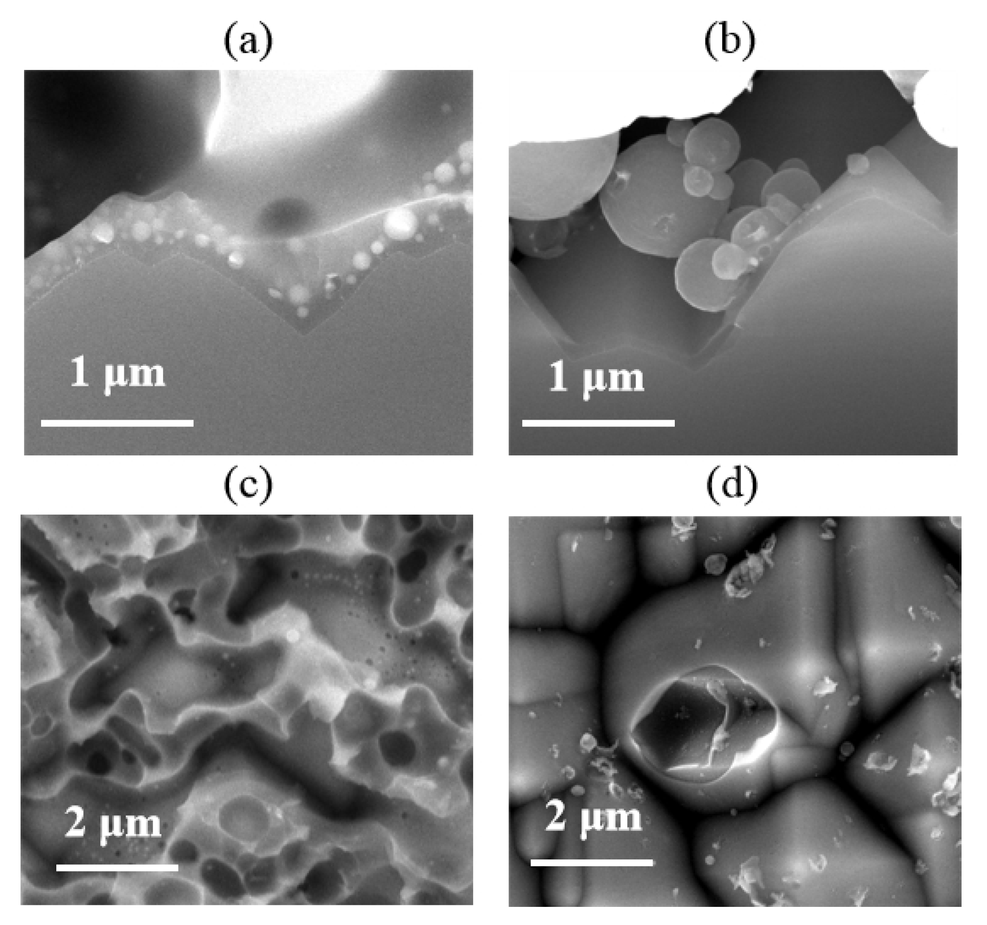 Materials 14 00765 g007 Materials 14 00765 g007