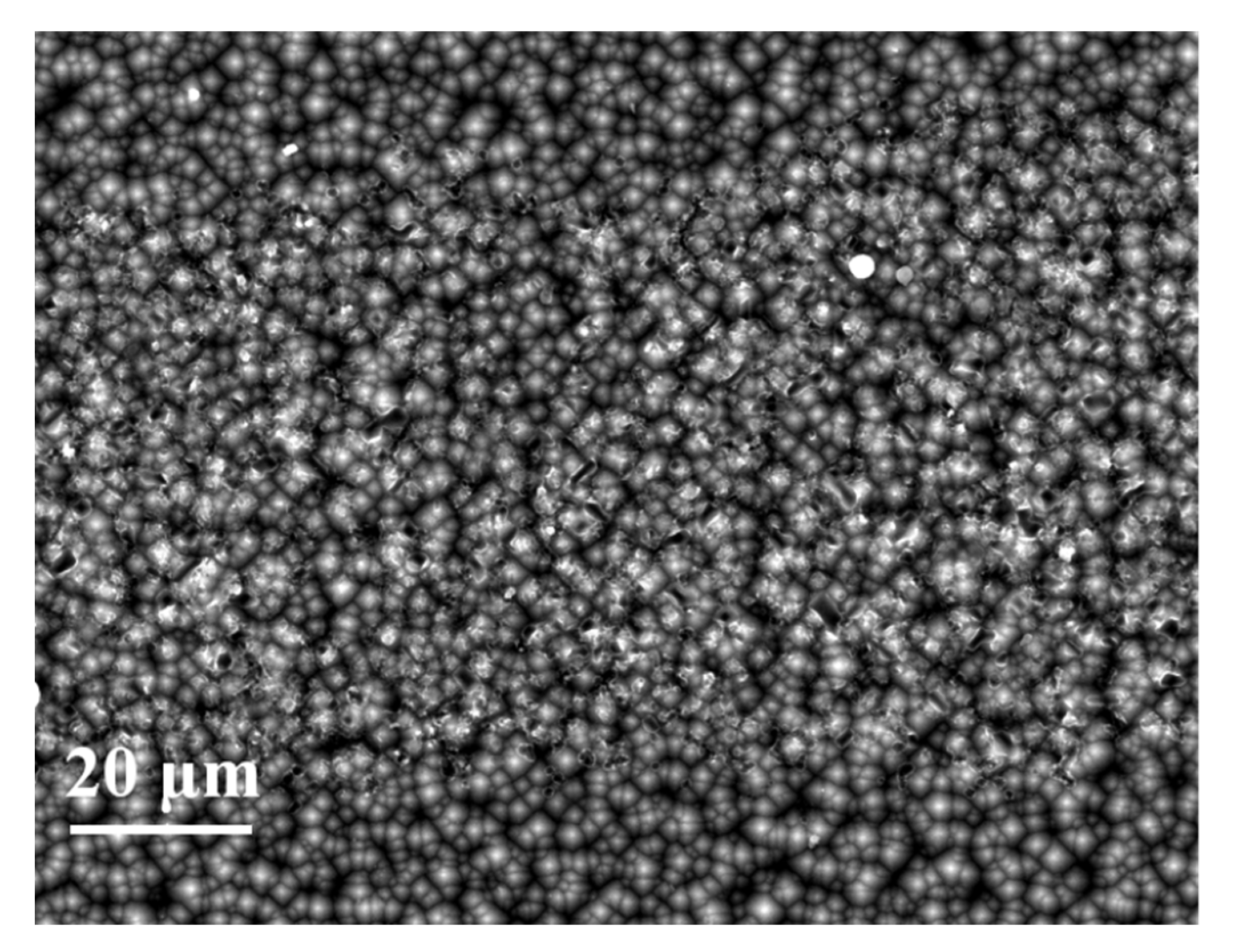 Materials 14 00765 g018 Materials 14 00765 g018