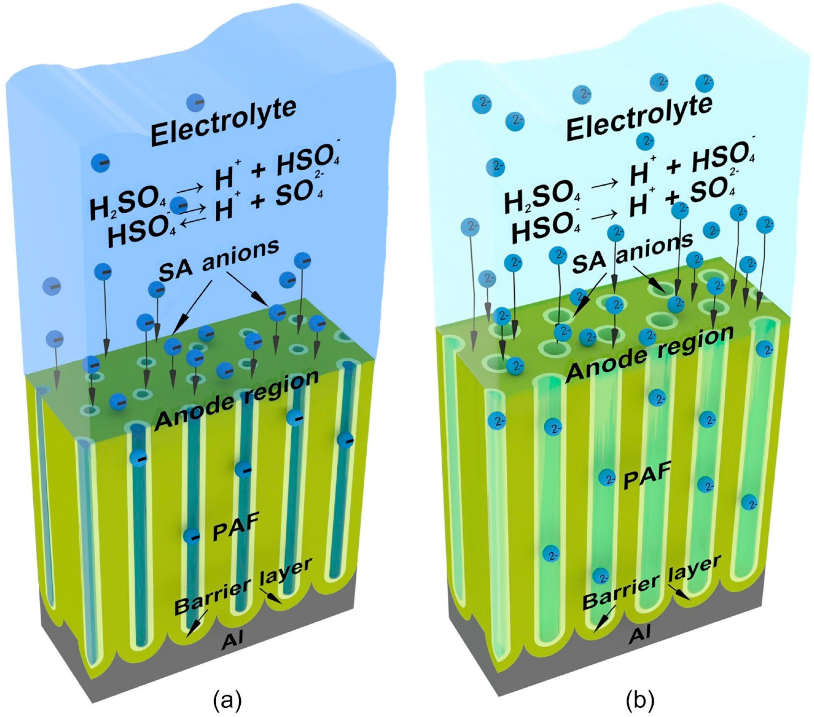 Materials 14 00767 g005 Materials 14 00767 g005