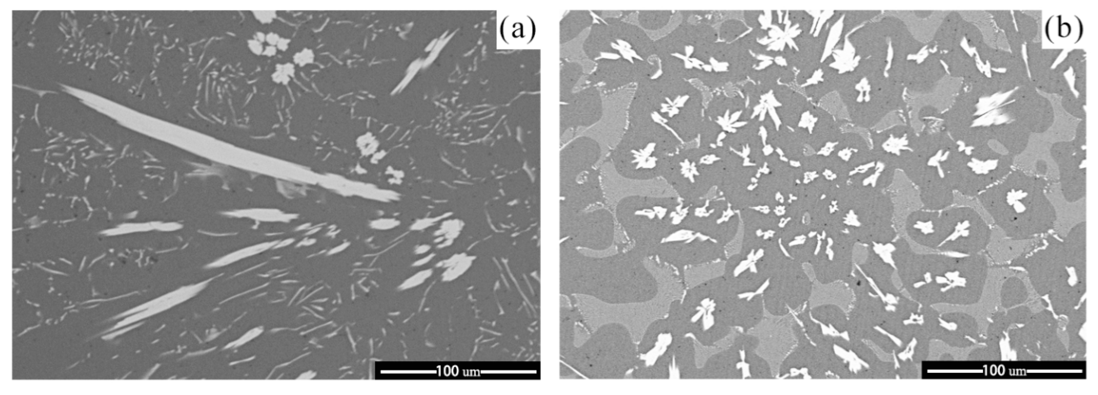 Materials 14 00768 g006a Materials 14 00768 g006a