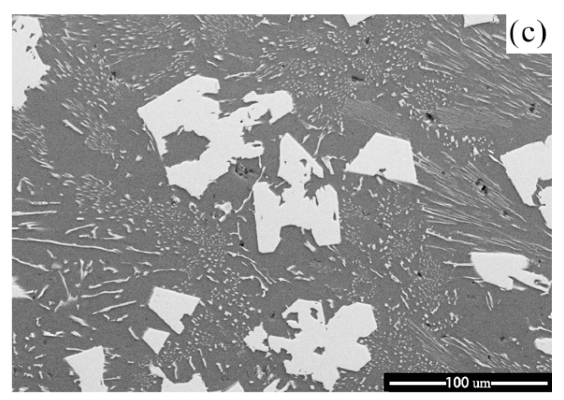 Materials 14 00768 g006b Materials 14 00768 g006b