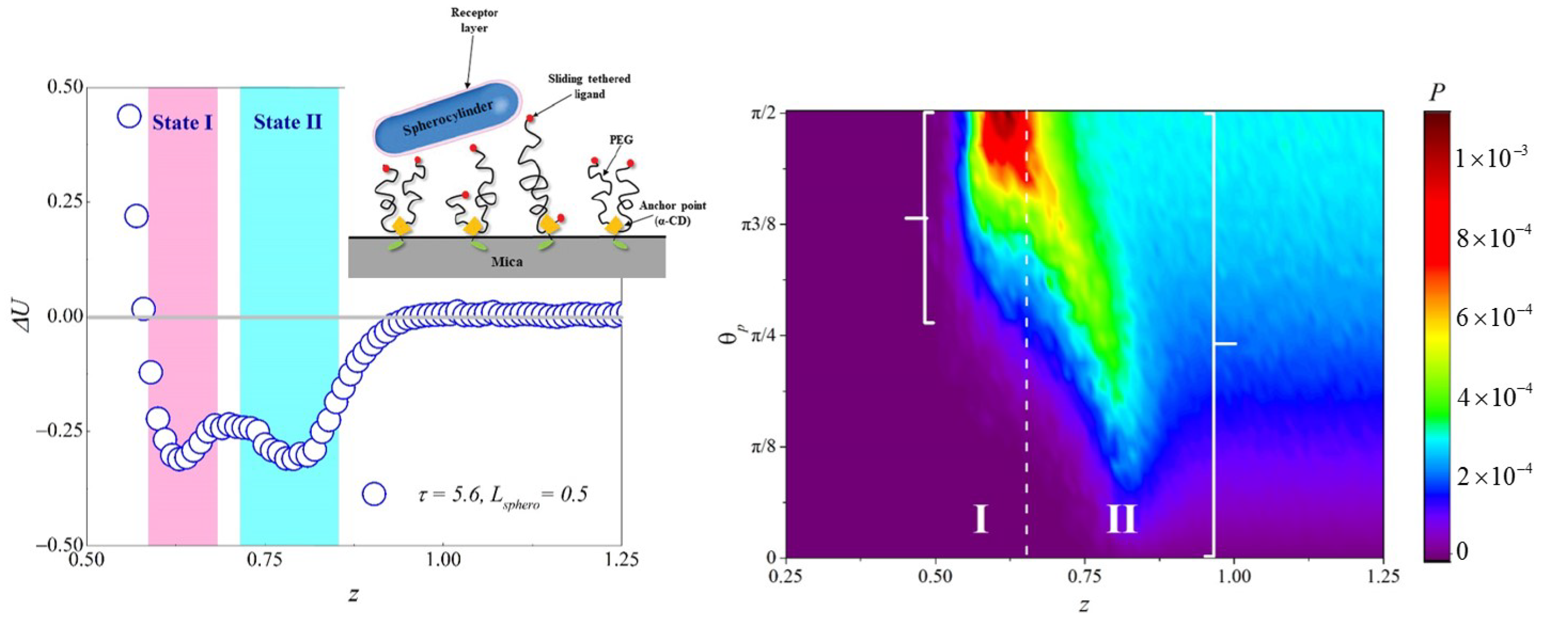 Materials 14 00778 g005