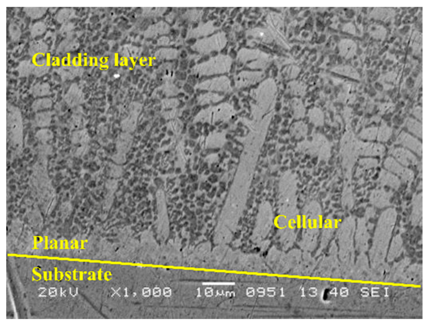 Materials 14 00781 g003 Materials 14 00781 g003